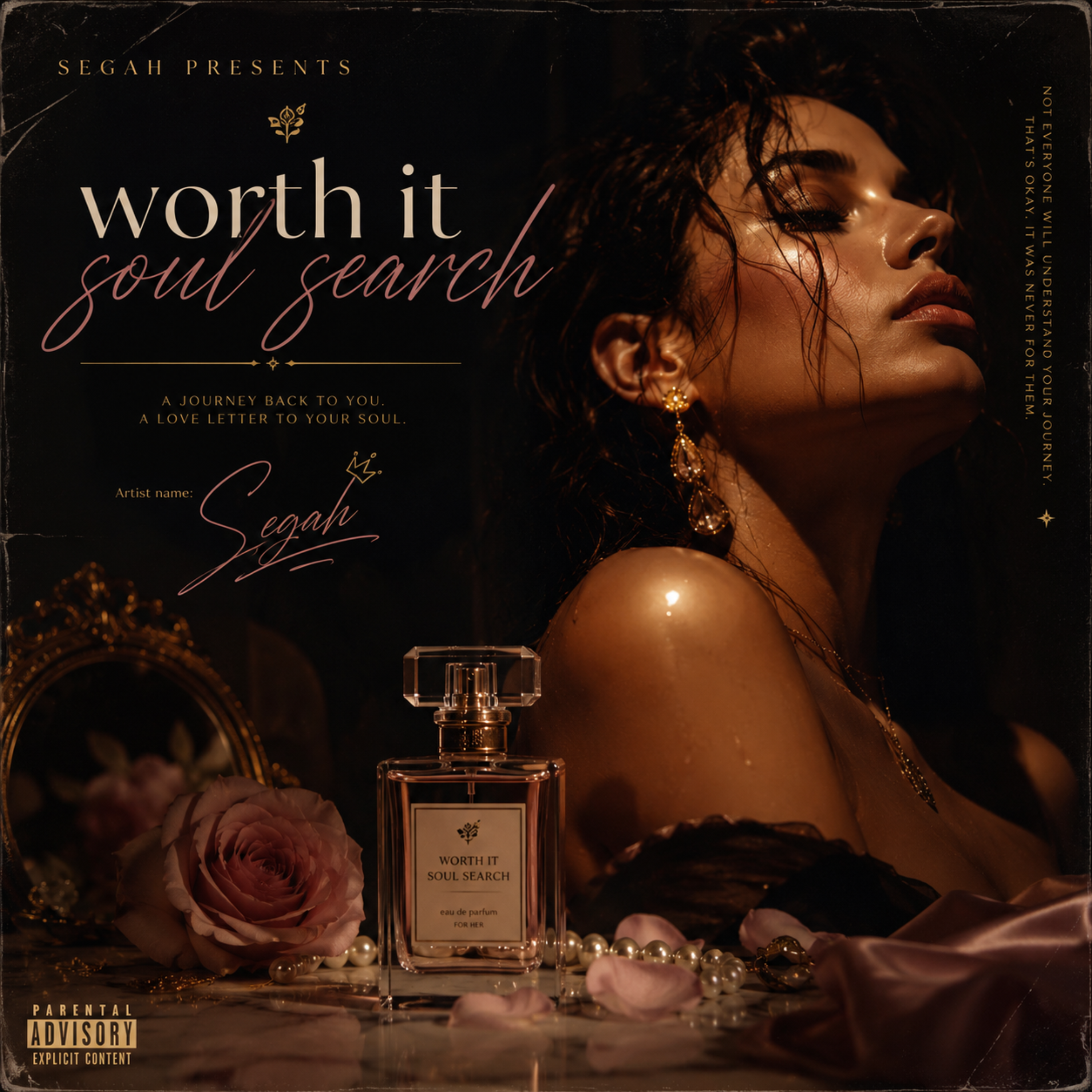 worth it soul search by Segah cover art