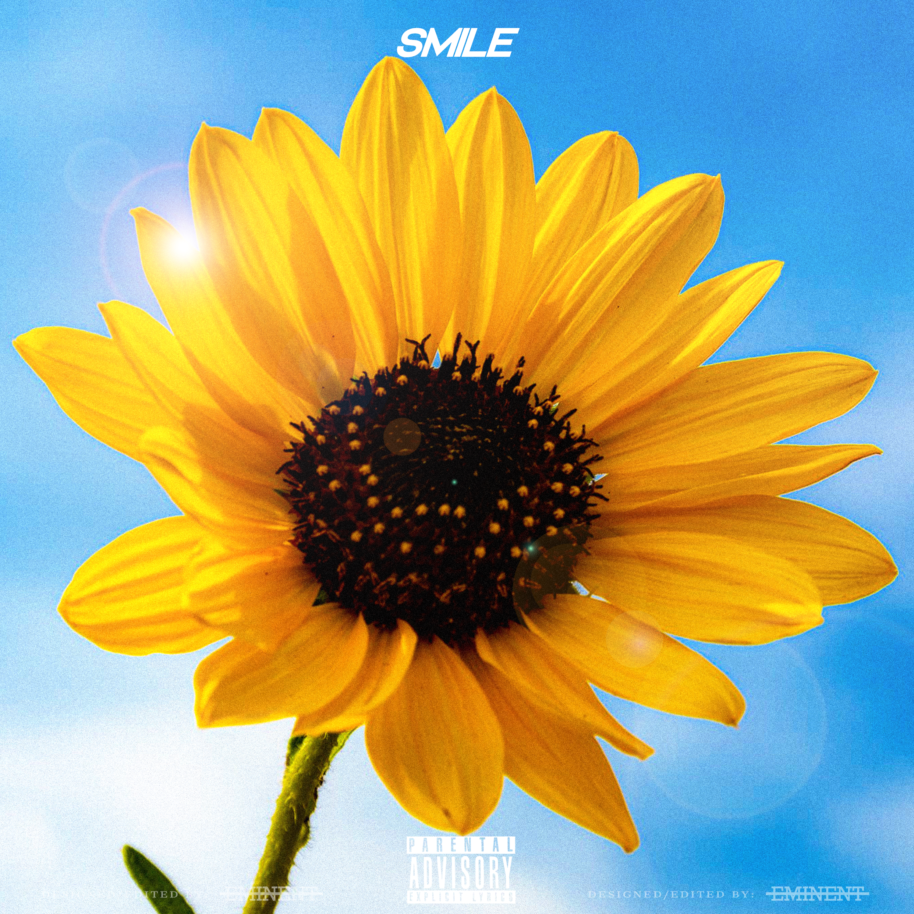 smile artwork