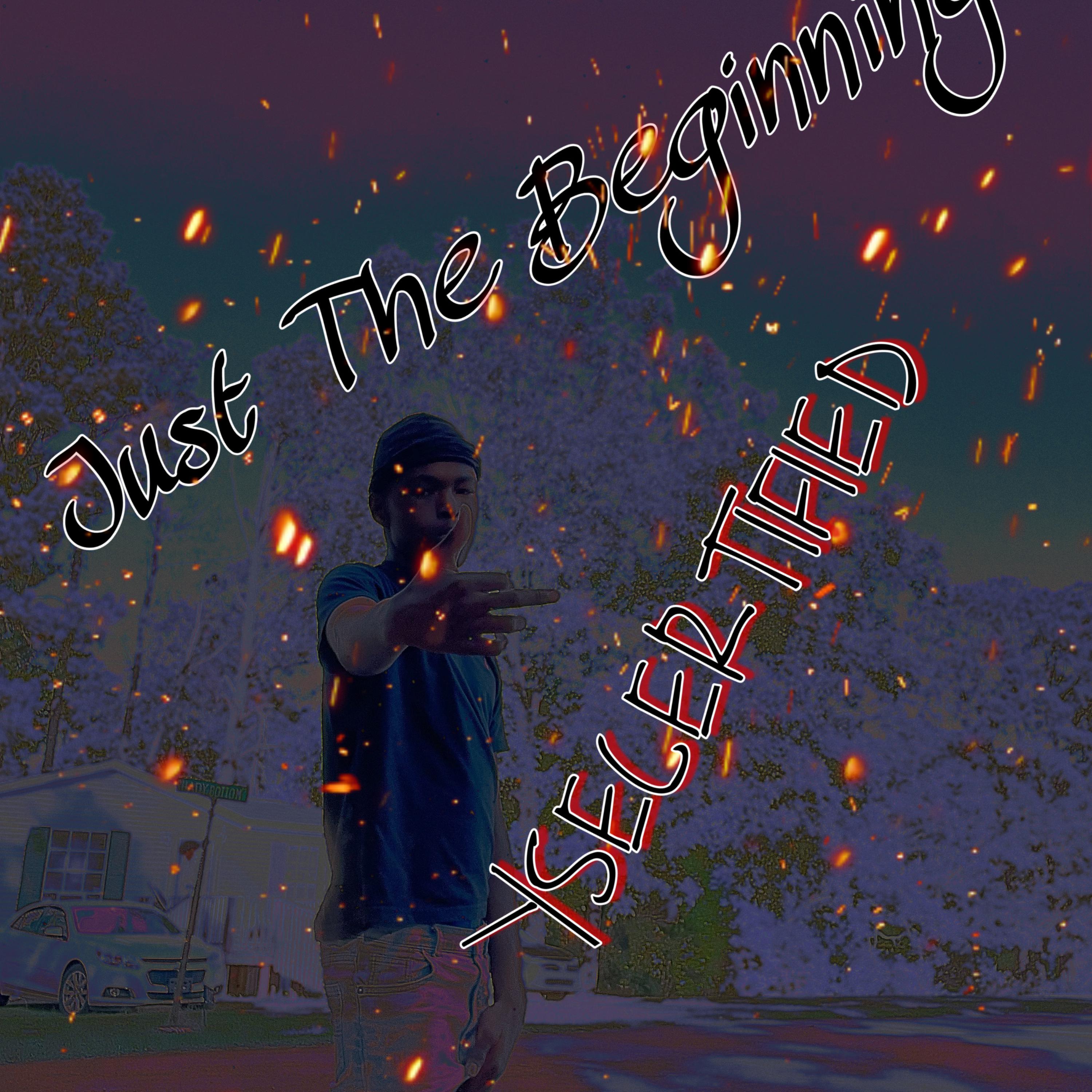 Just The Beginning artwork