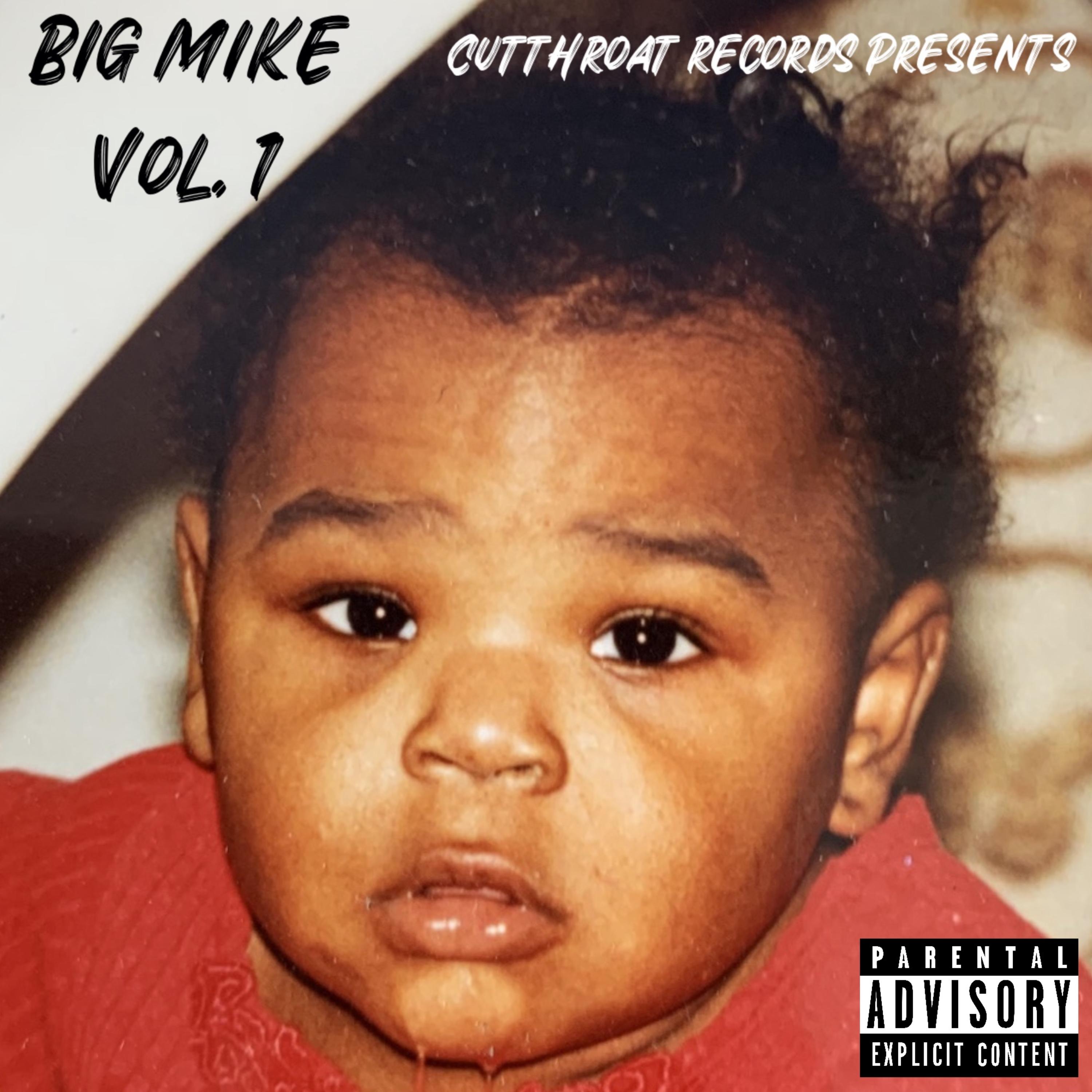 BIG MIKE artwork