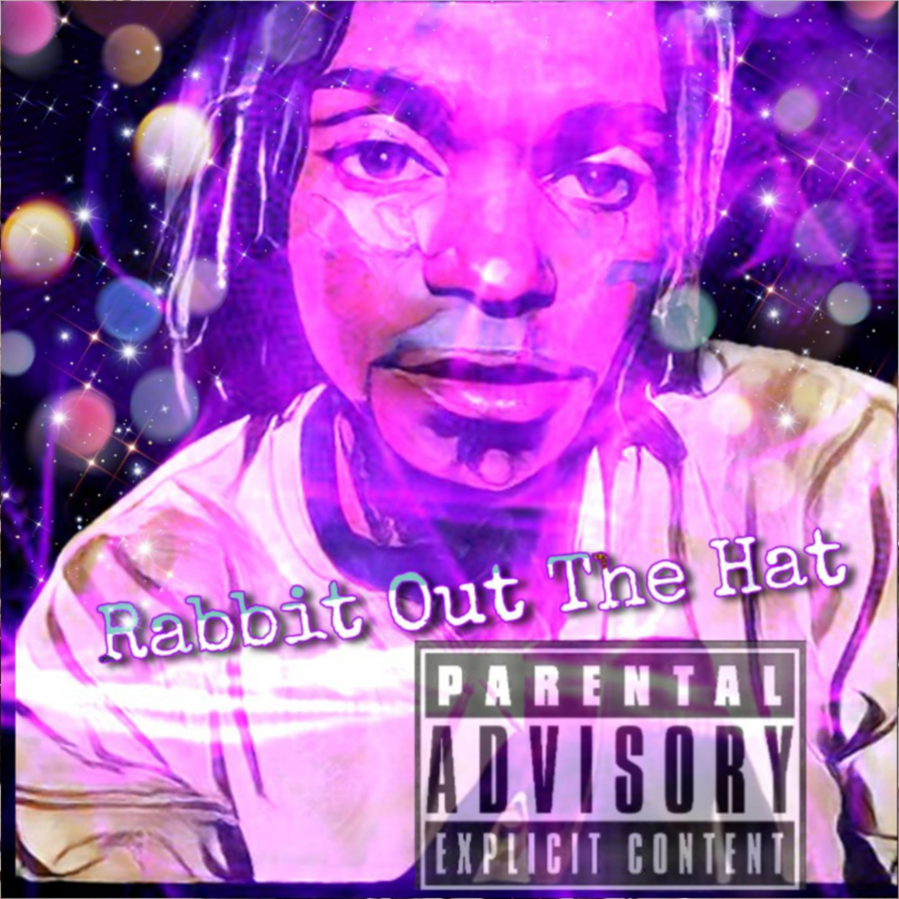 Rabbit Out The  artwork