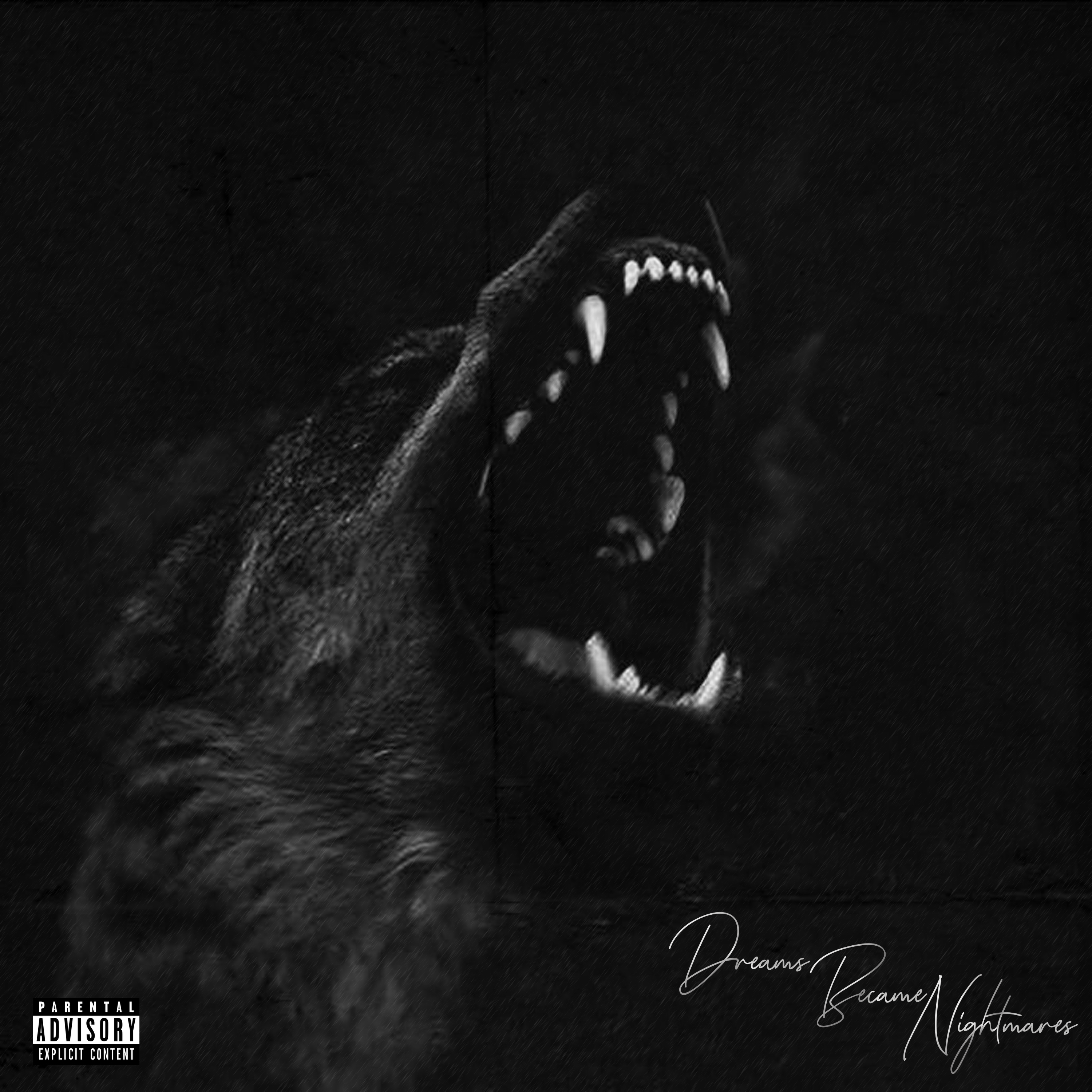 Dreams Became Nightmares artwork