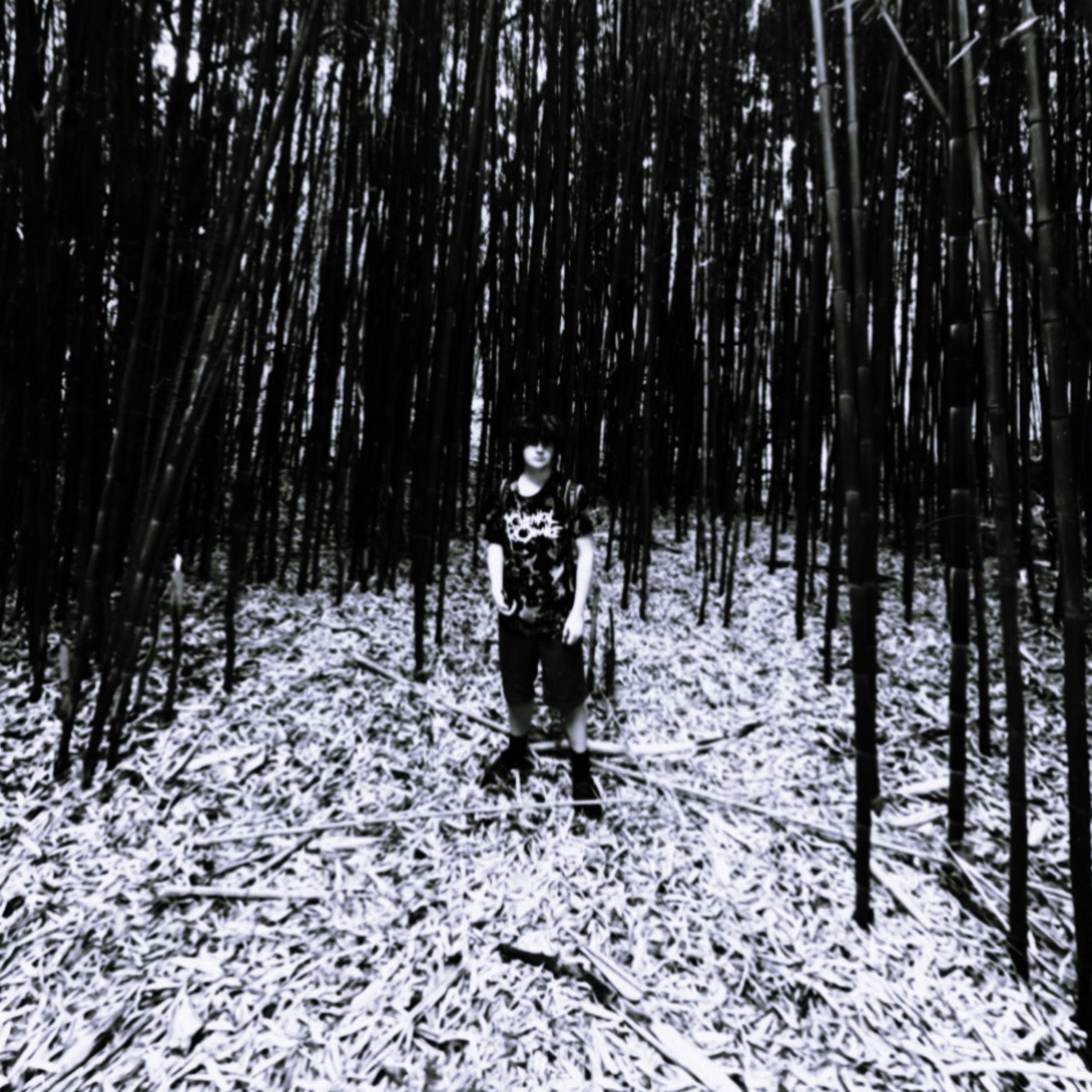 Ghost Radio Frequency artwork