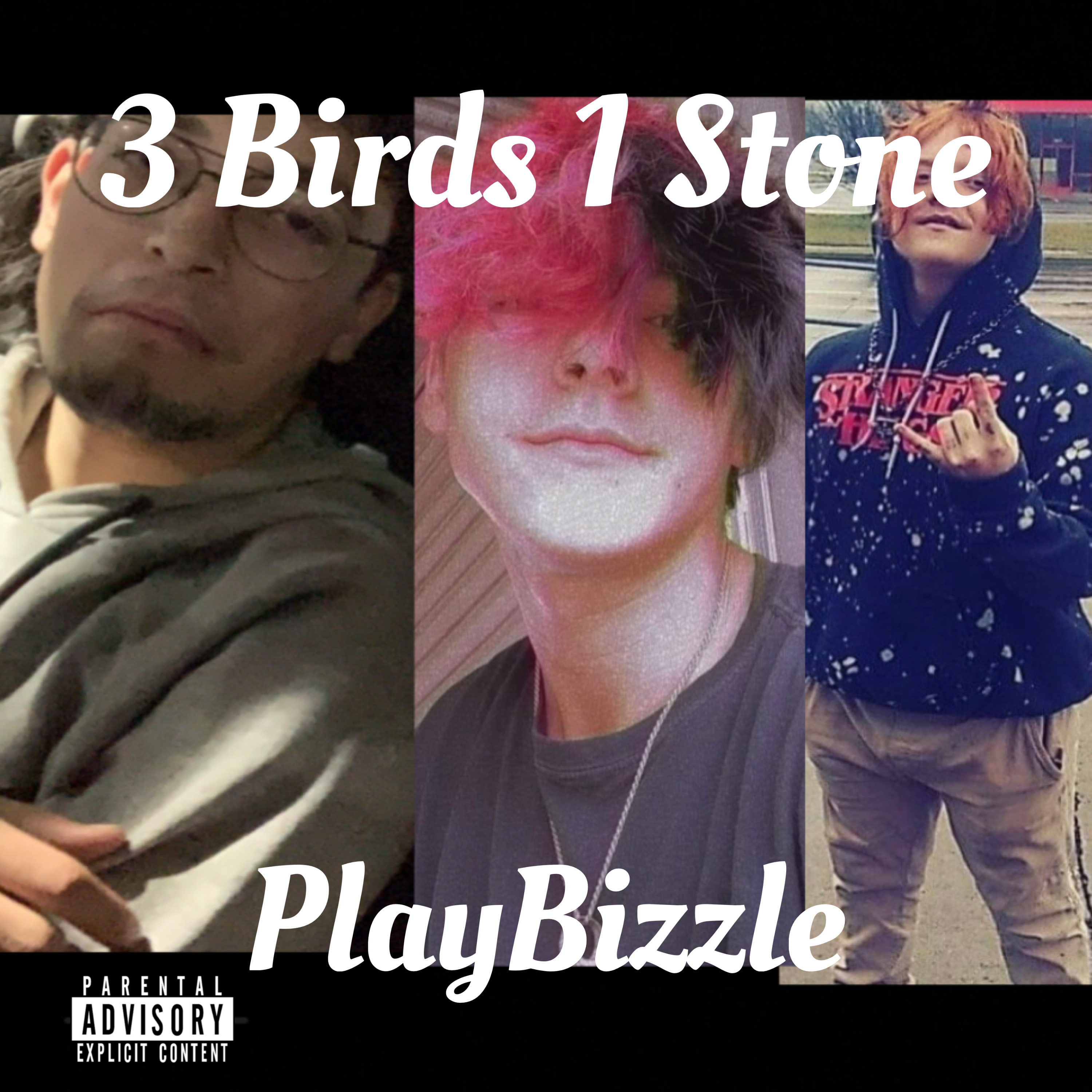 3 Birds 1 Stone artwork
