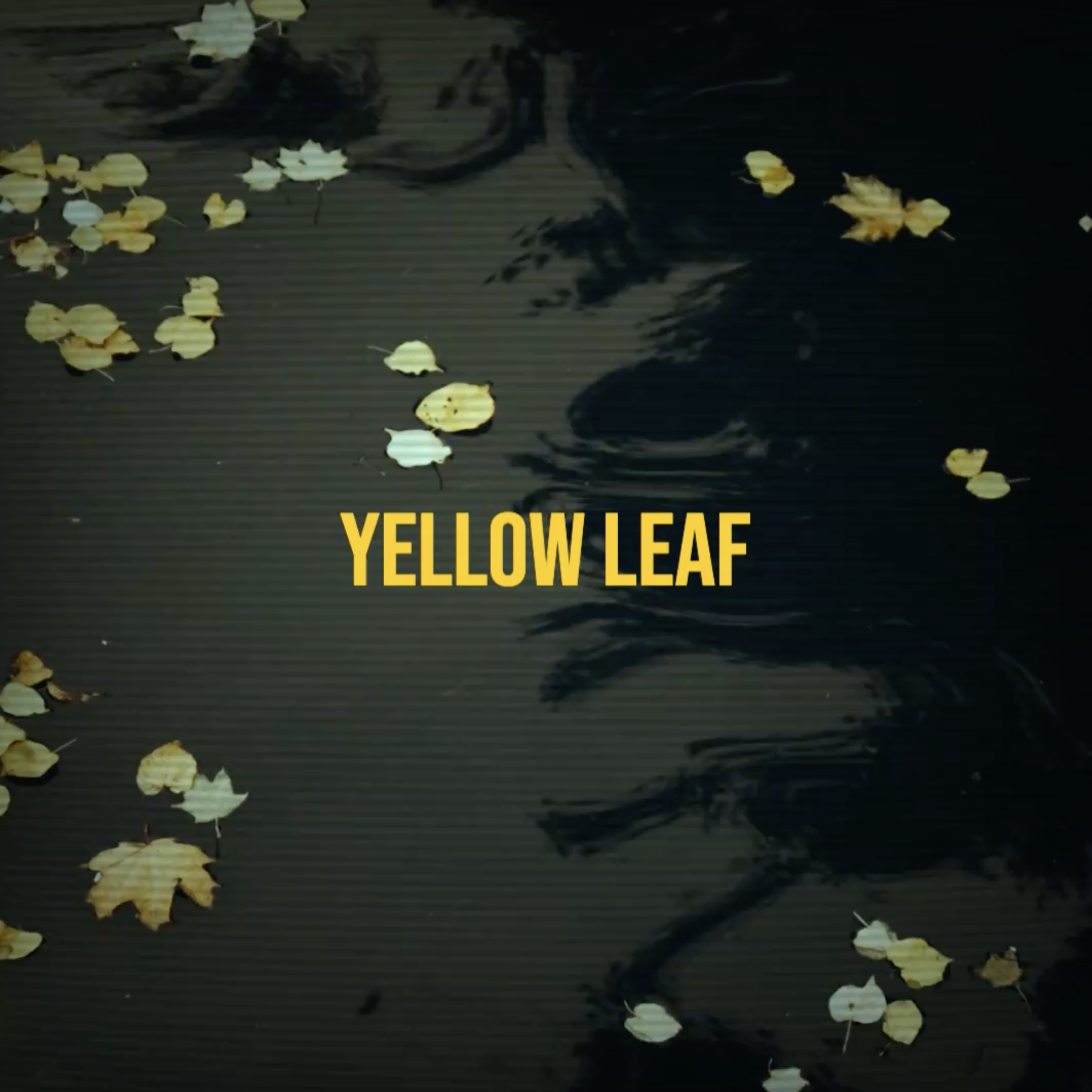 Yellow Leaf artwork