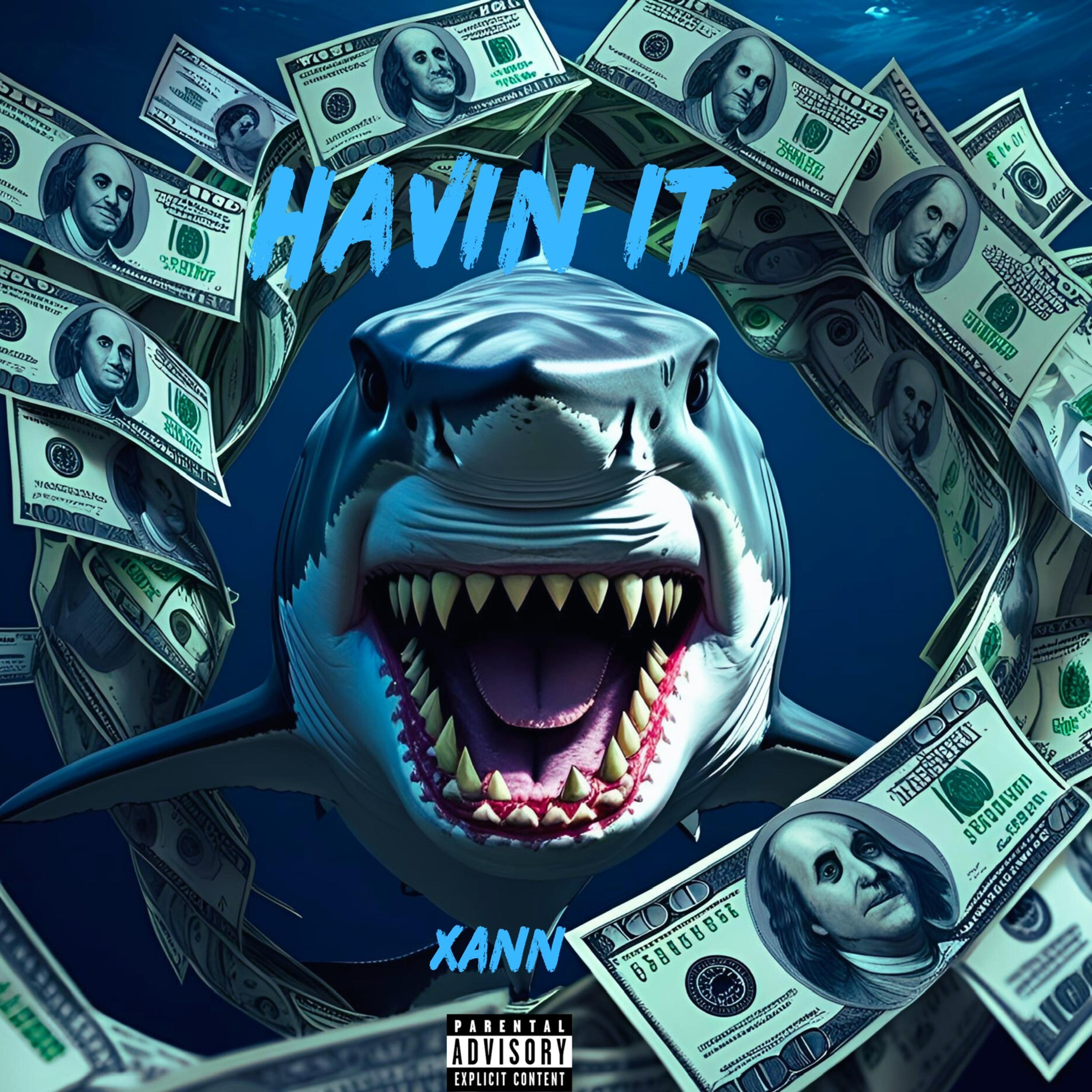 Havin It by XANNHEAUXX cover art