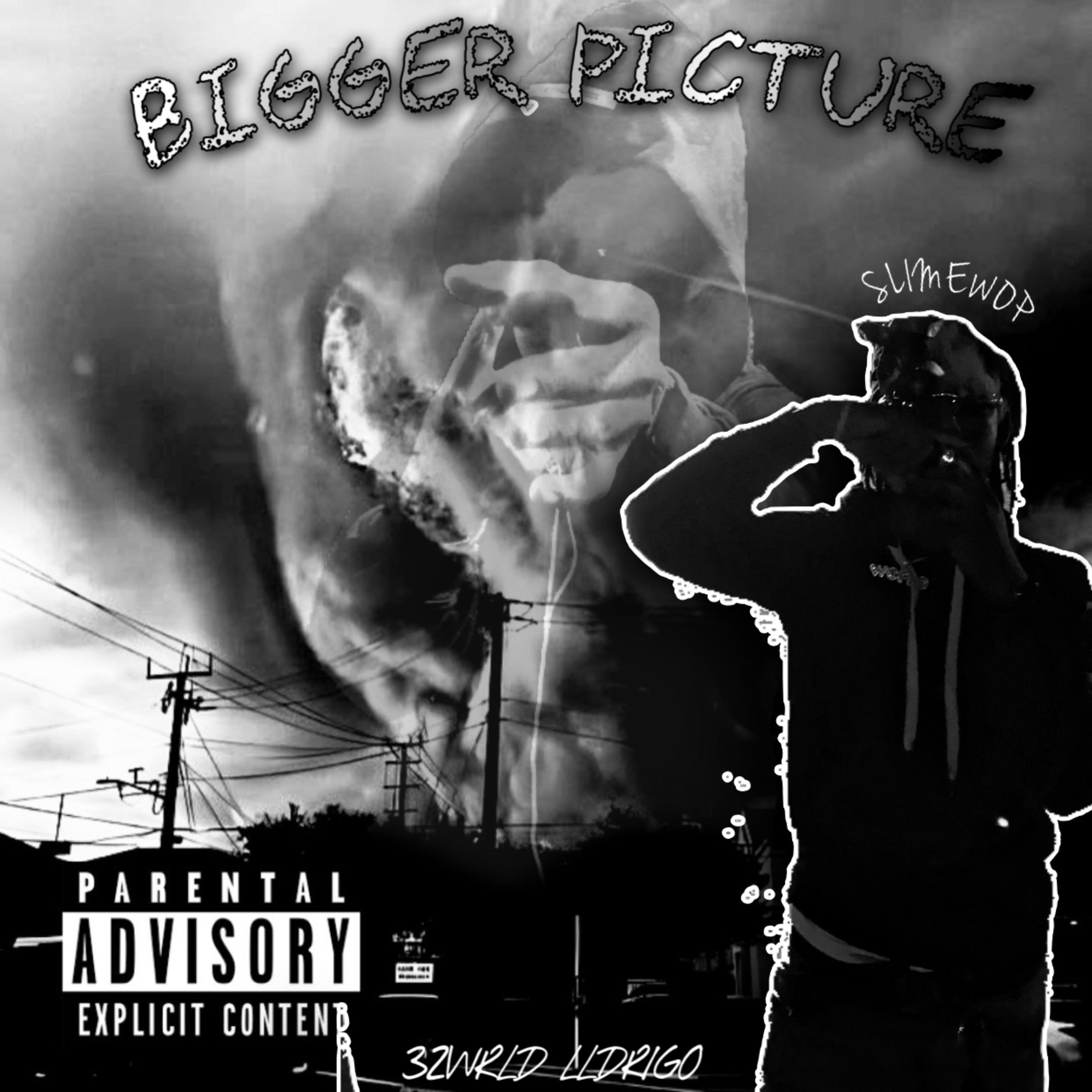 Bigger Picture by 1ofNone cover art