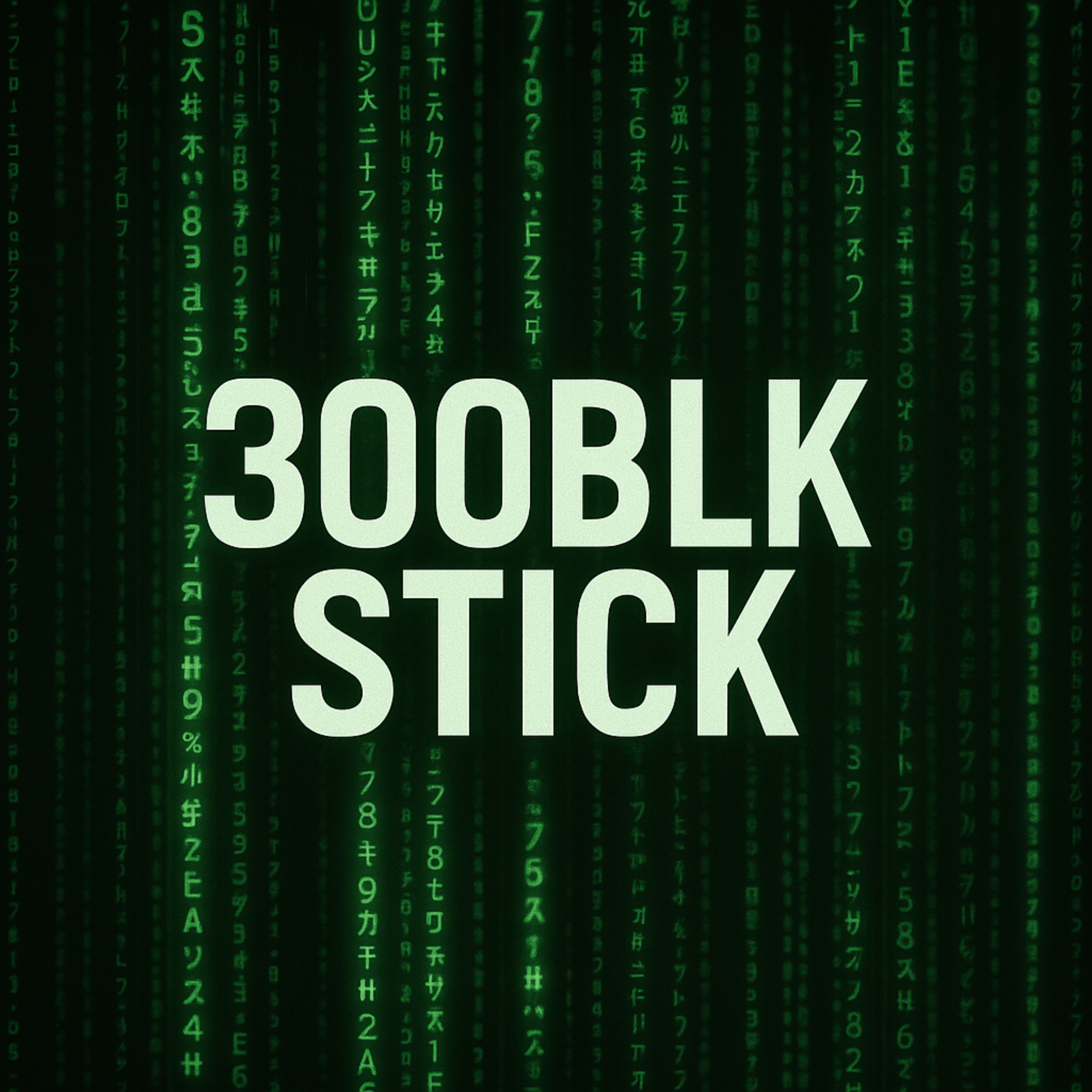 300blk Stick artwork