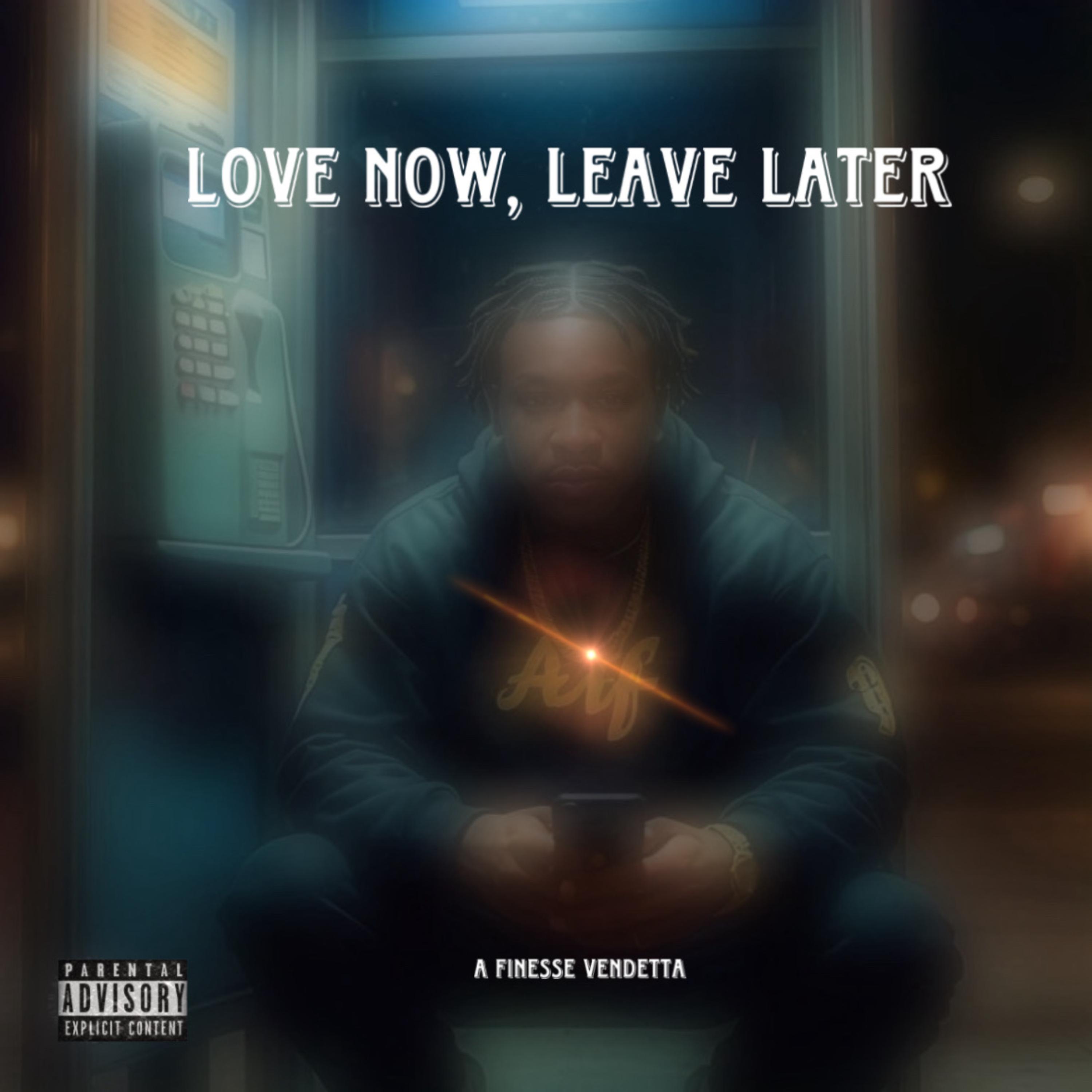 Love Now, Leave Later artwork