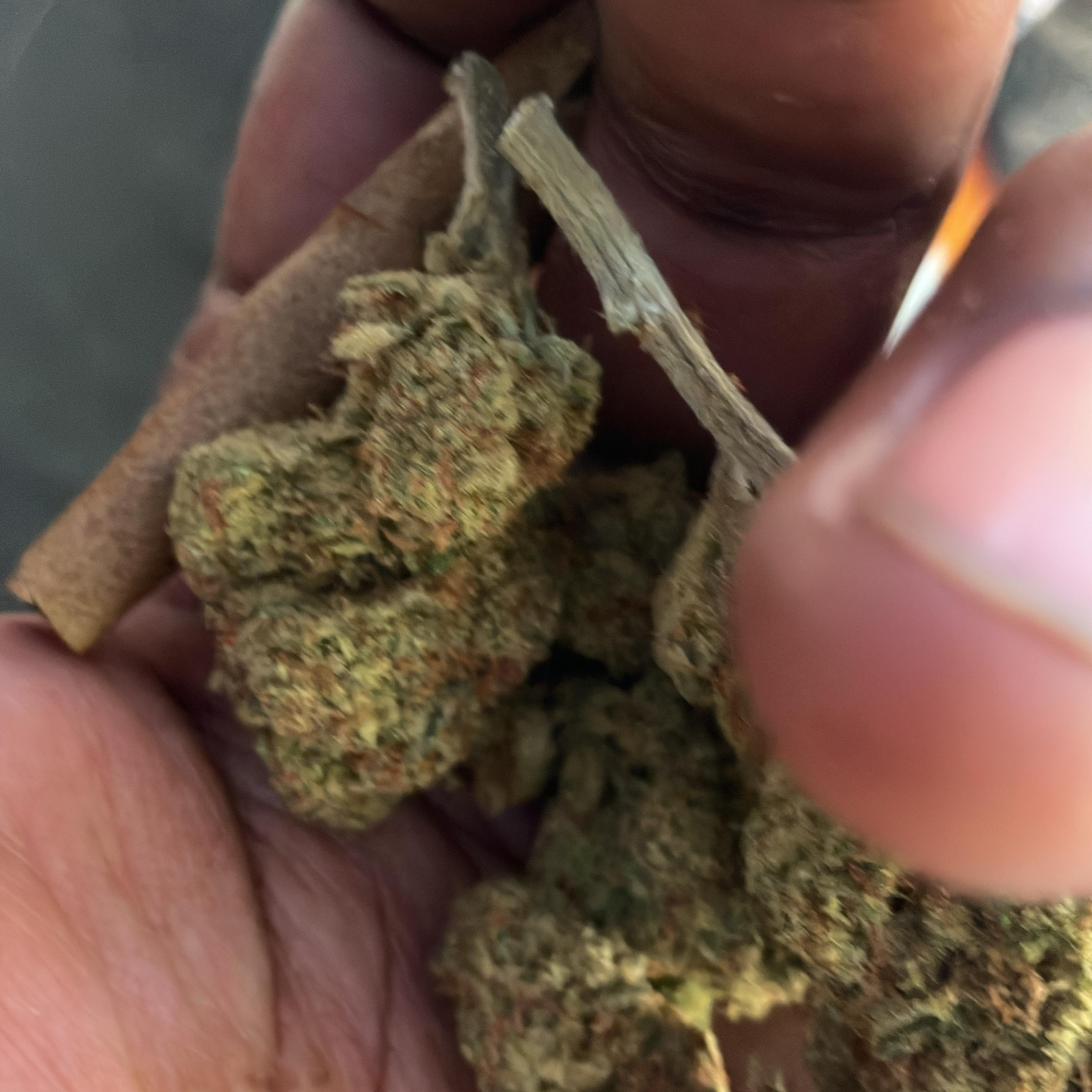 CLEVELAND AVENUE artwork