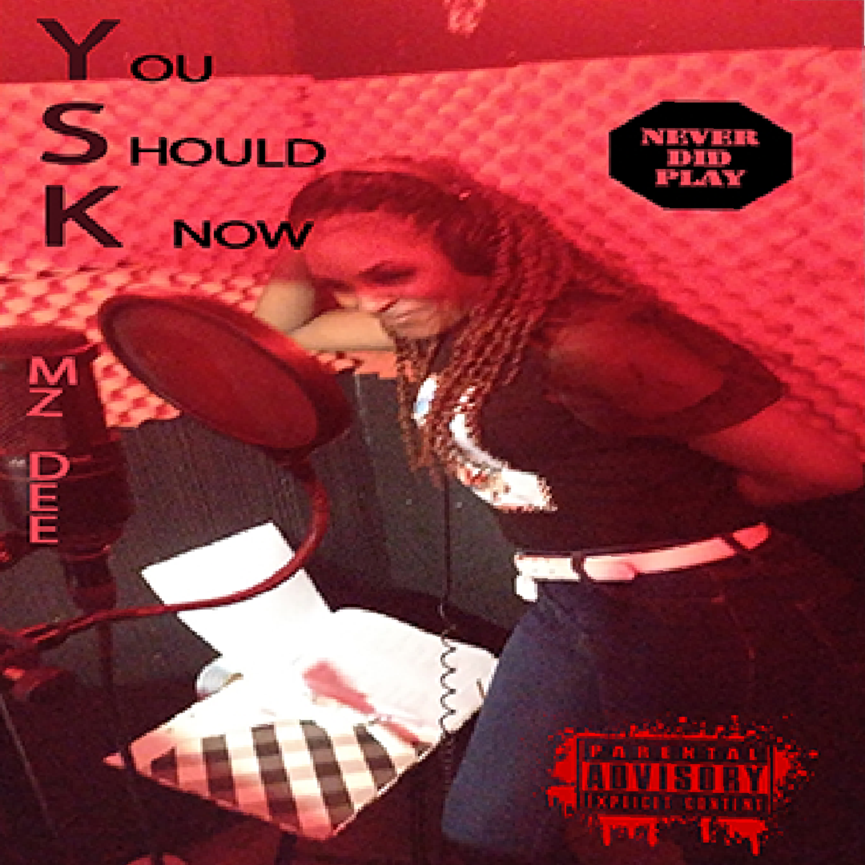 YSK MZ.DEE NEVER DID PLAY artwork