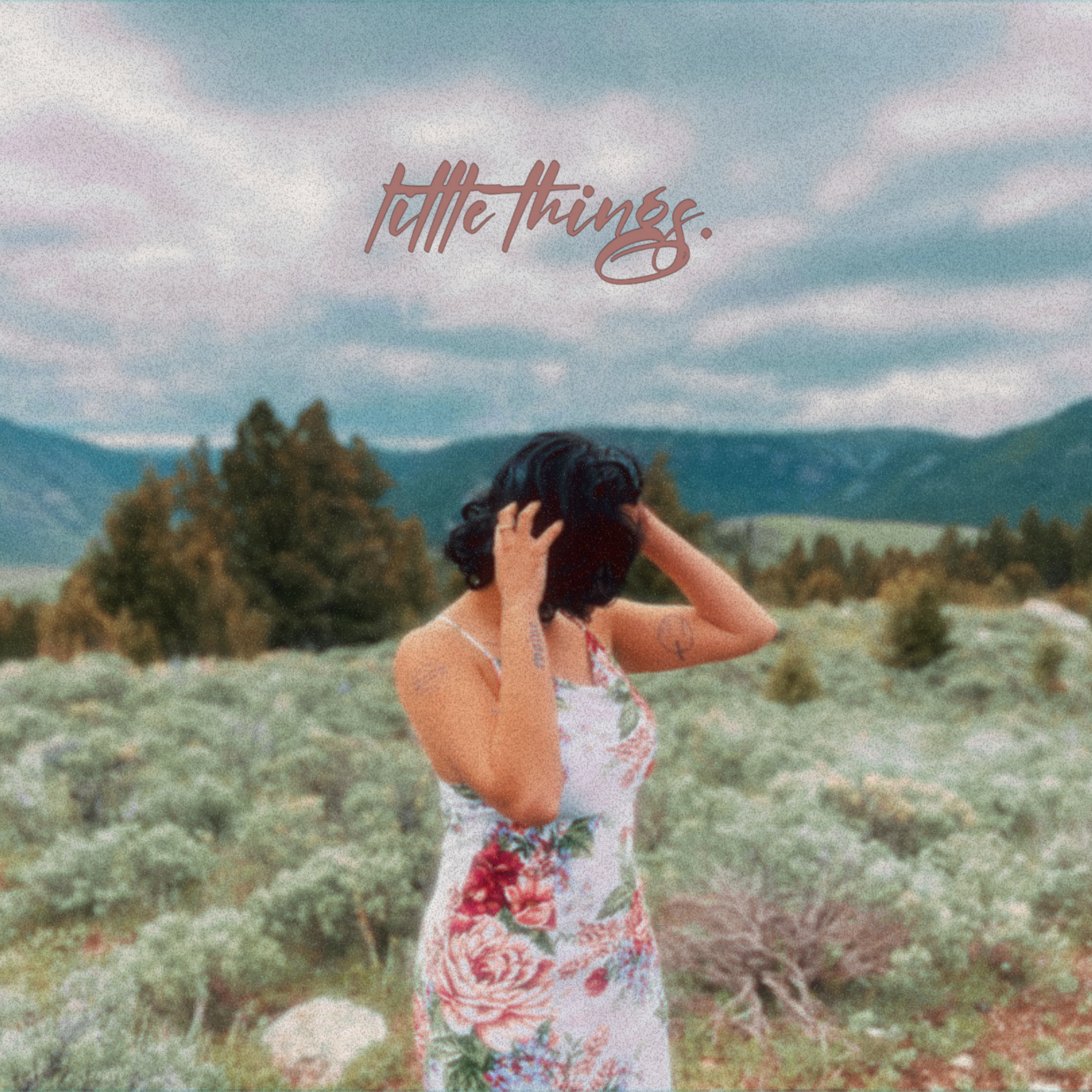 Little Things artwork