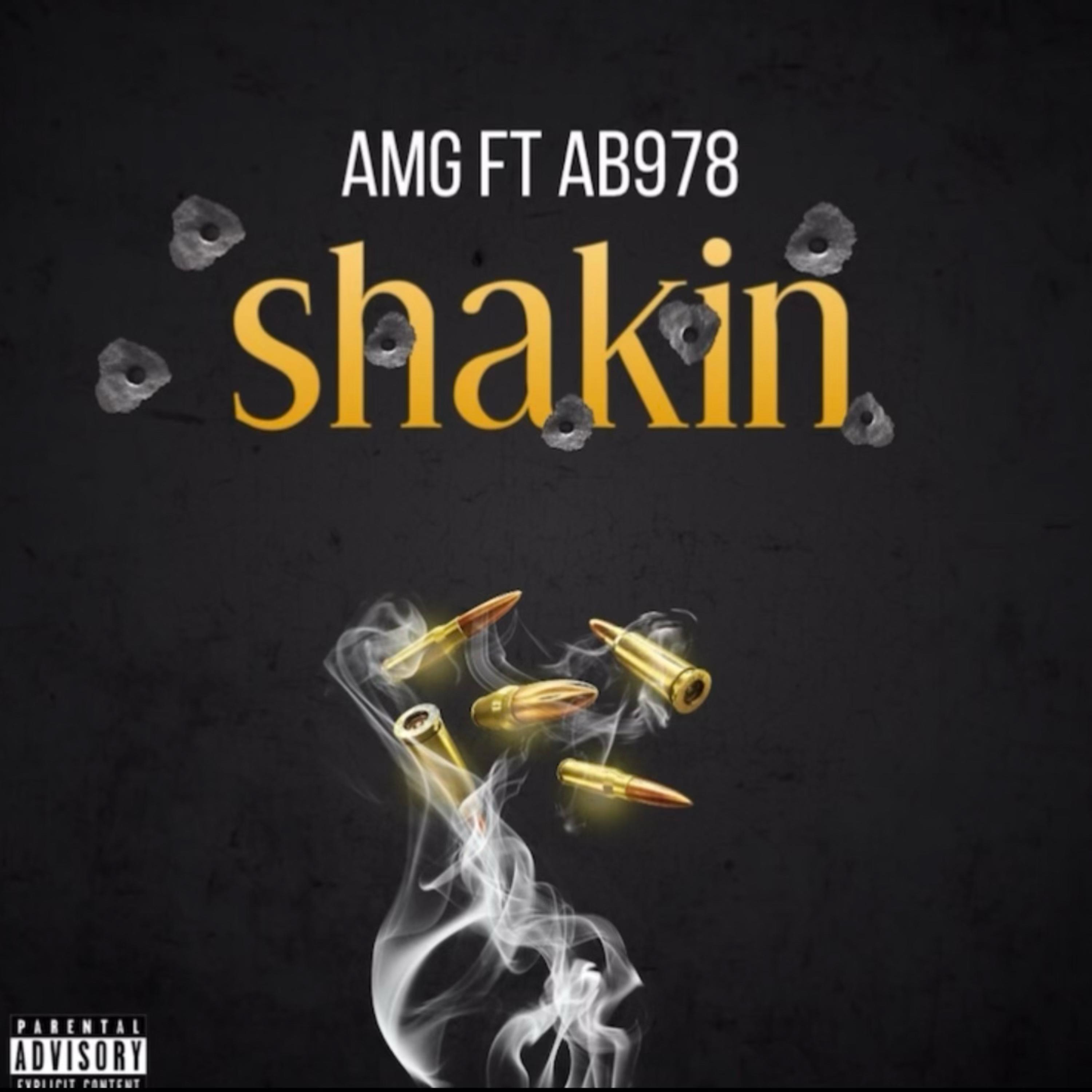 Shakin artwork