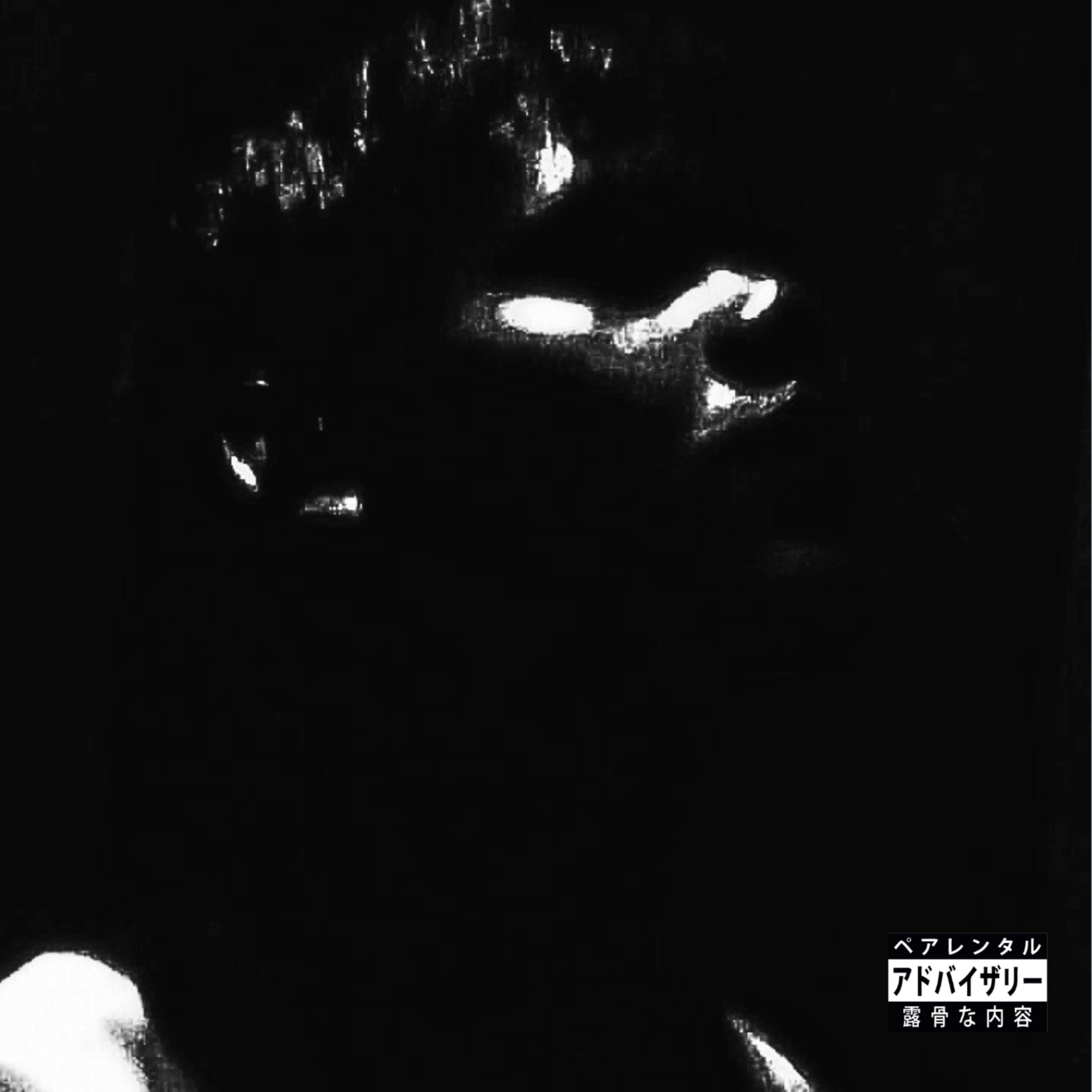 MEIA NOITE artwork