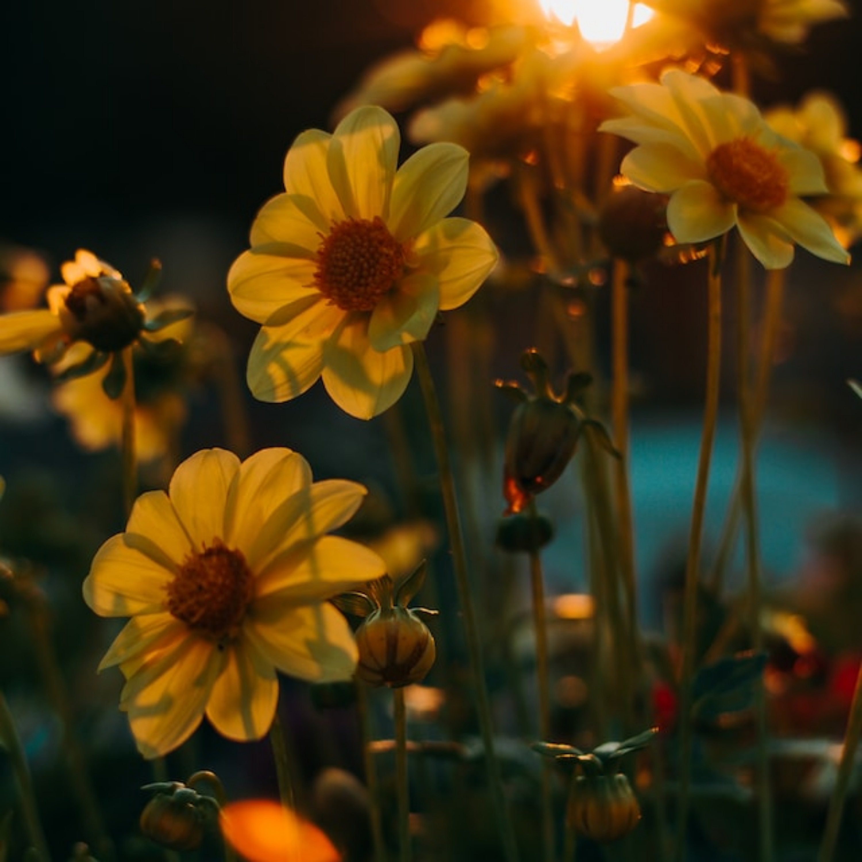 Ajari Aku Melupakan Mu artwork