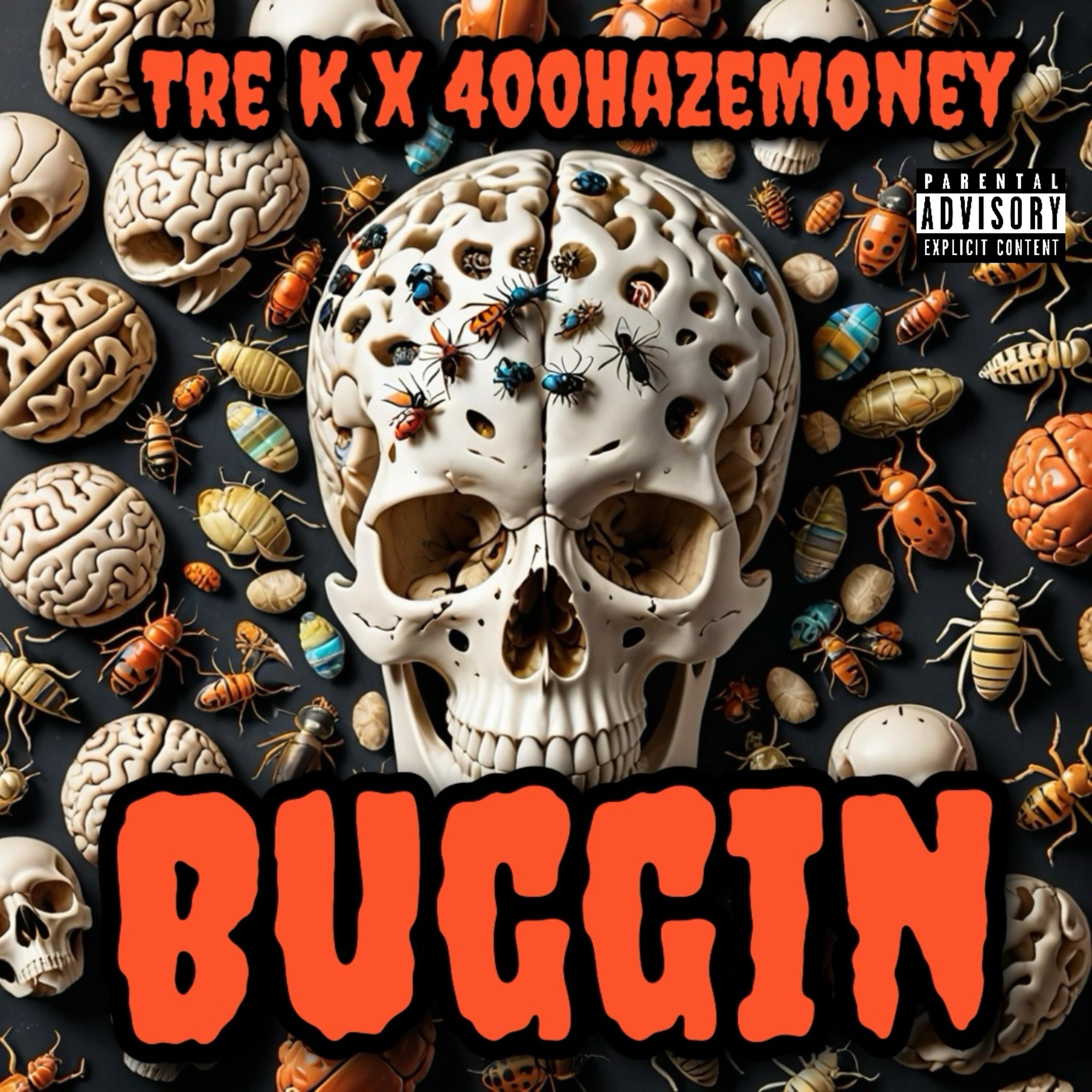 Buggin artwork