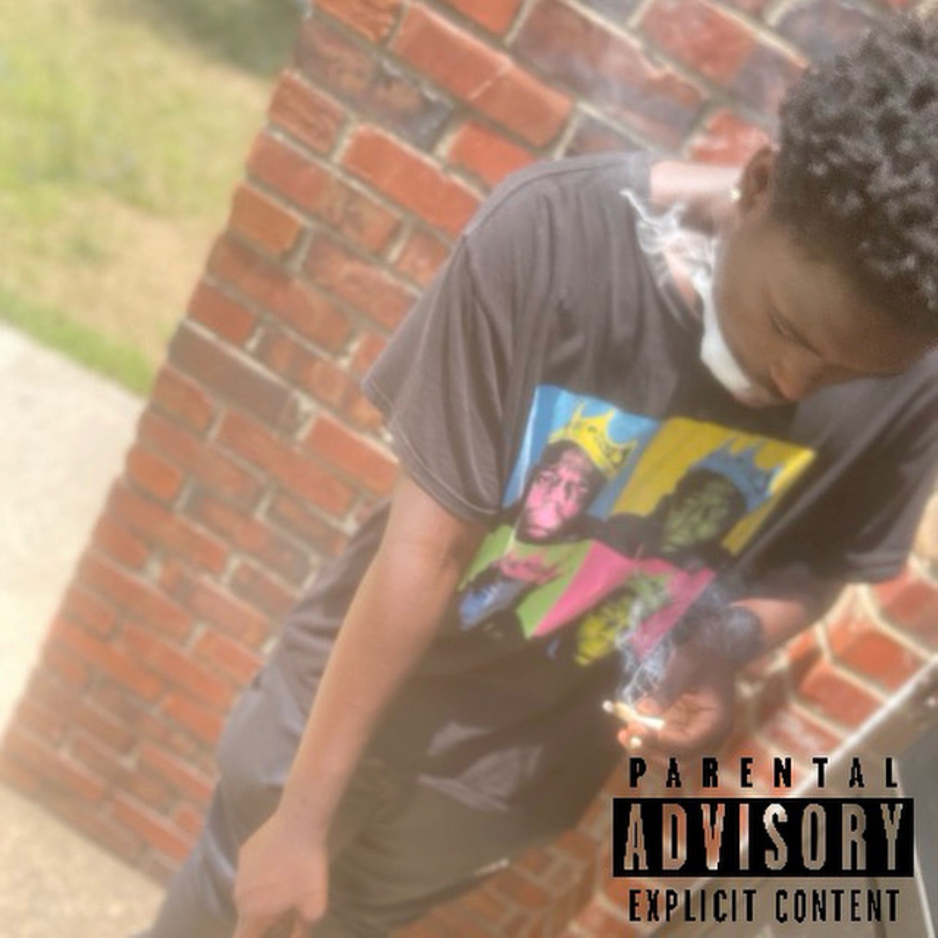 Life Of A Don artwork