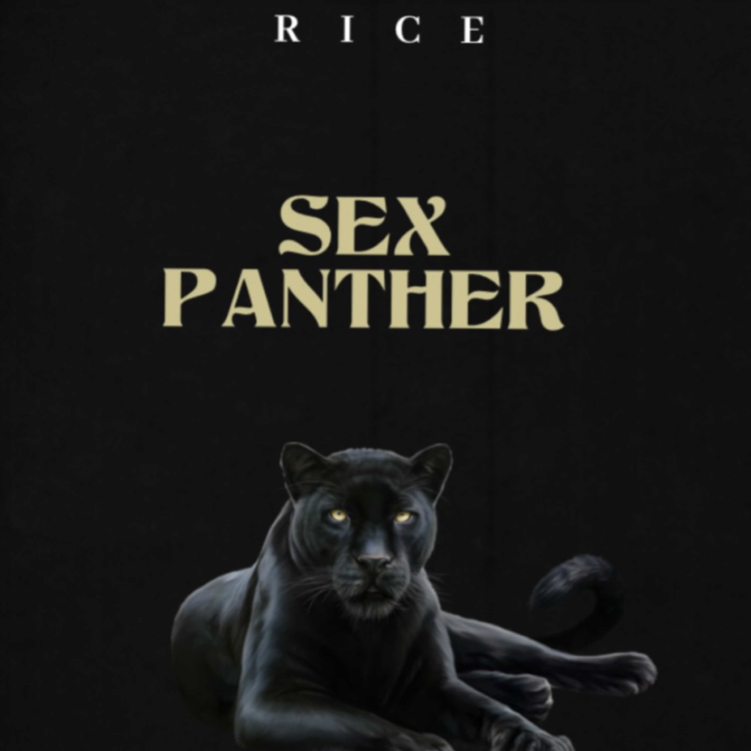 Sex Panther artwork