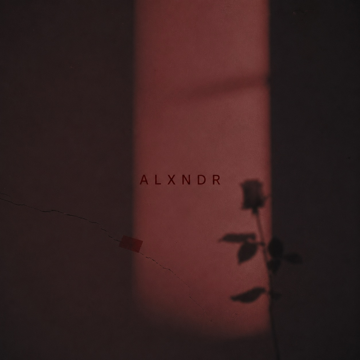 ALXNDR