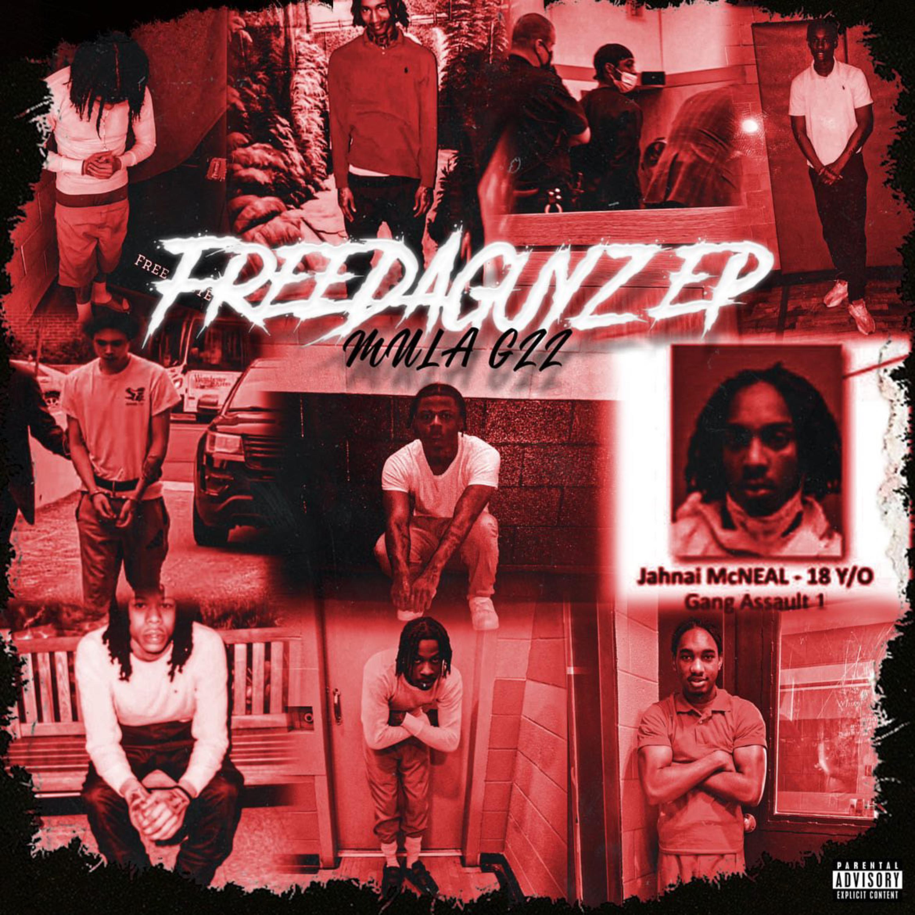 FREEDAGUYZ artwork