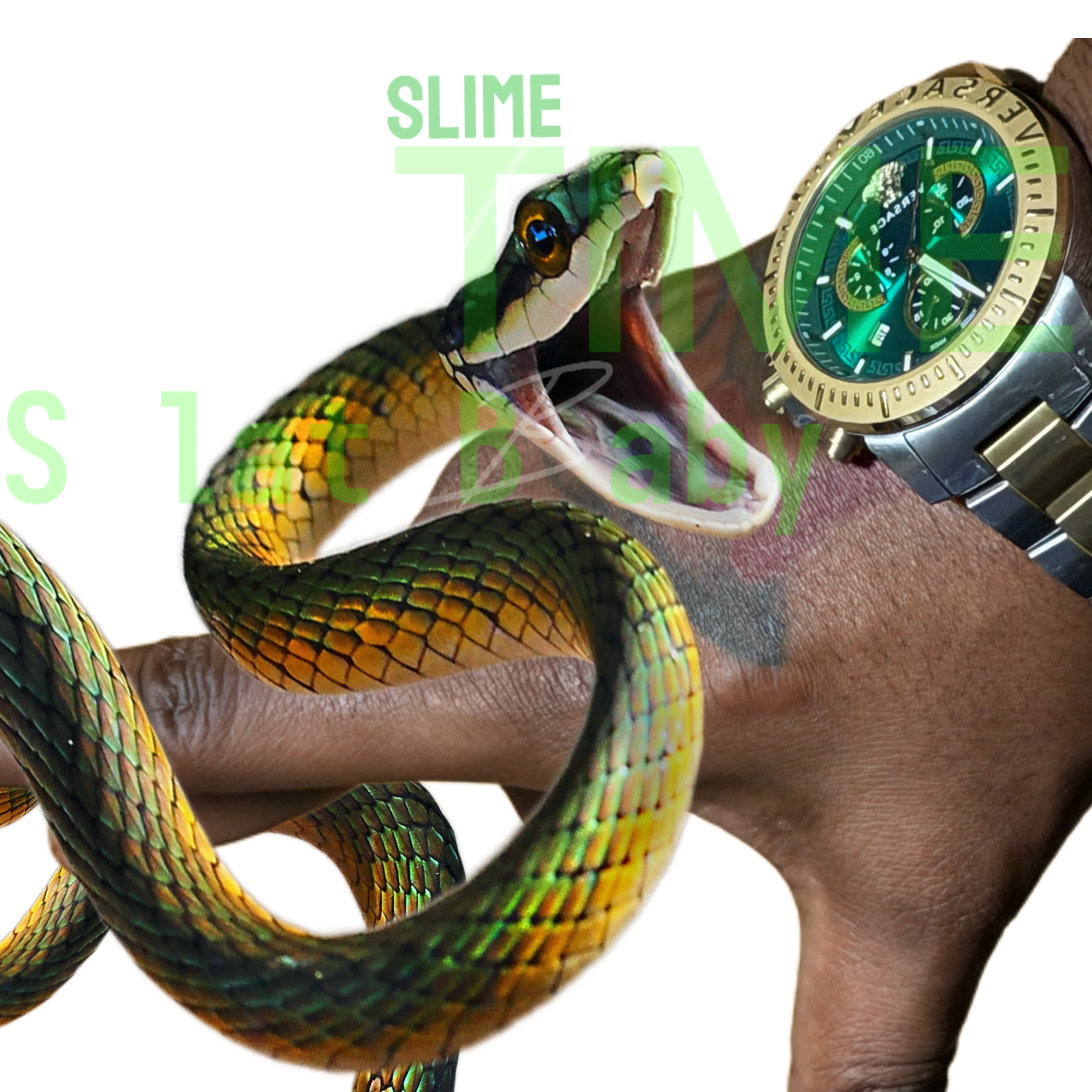 Its Slime Time artwork