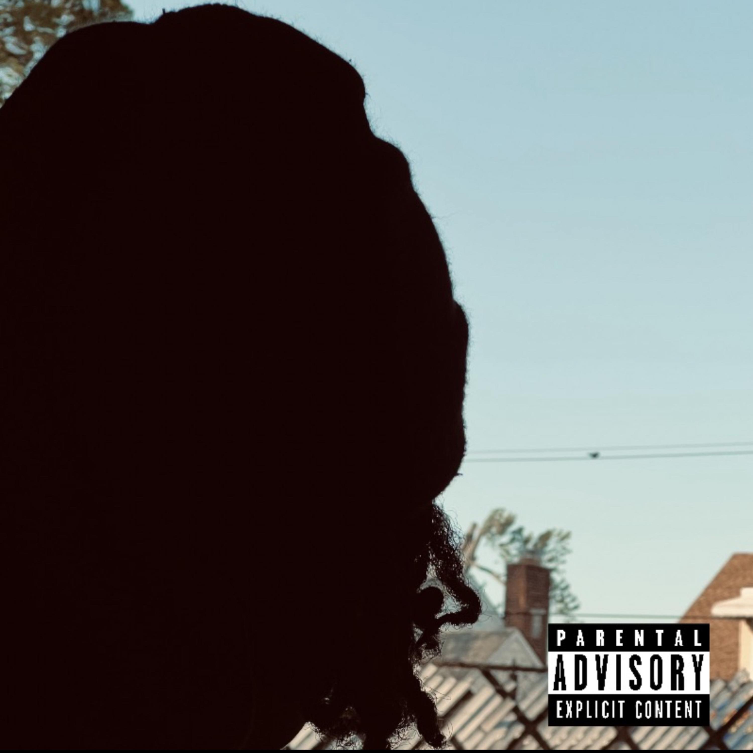 Role Model (Remix) artwork