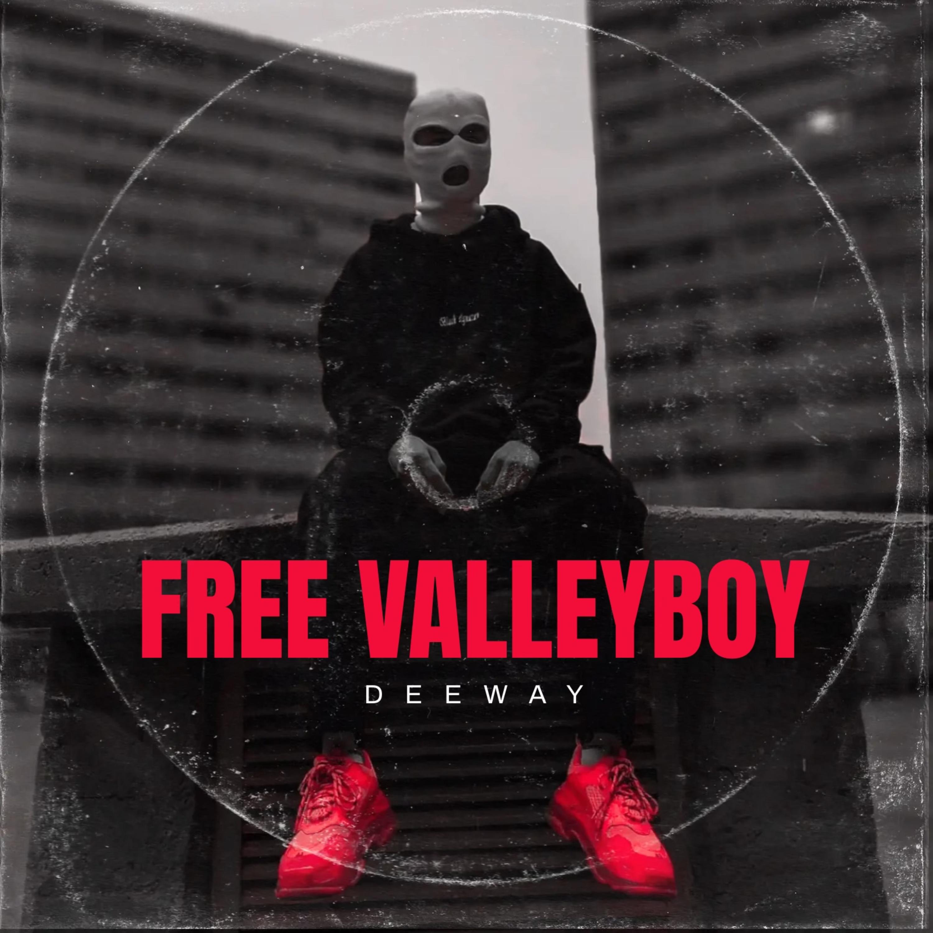 Free Valleyboy artwork
