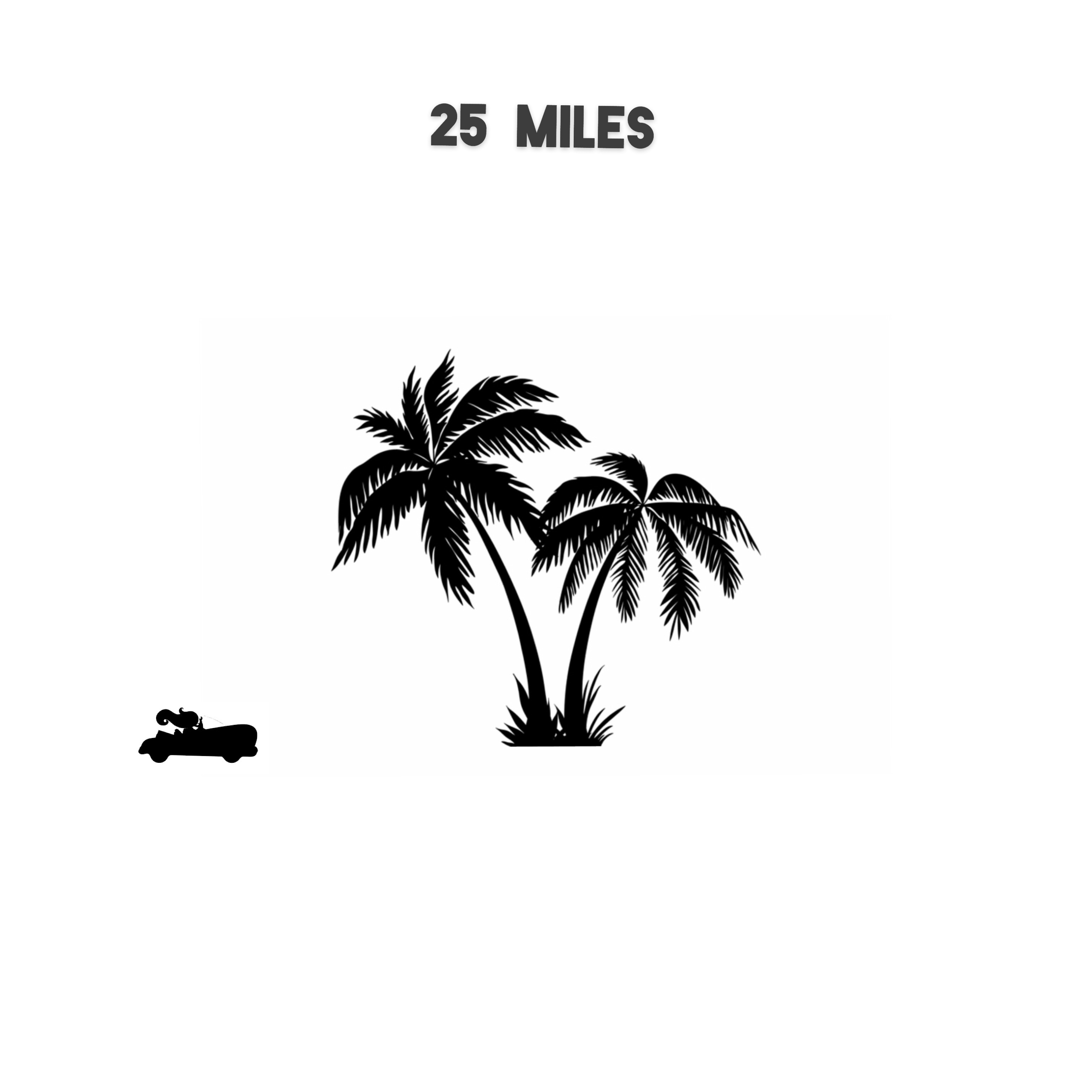 25 MILES artwork