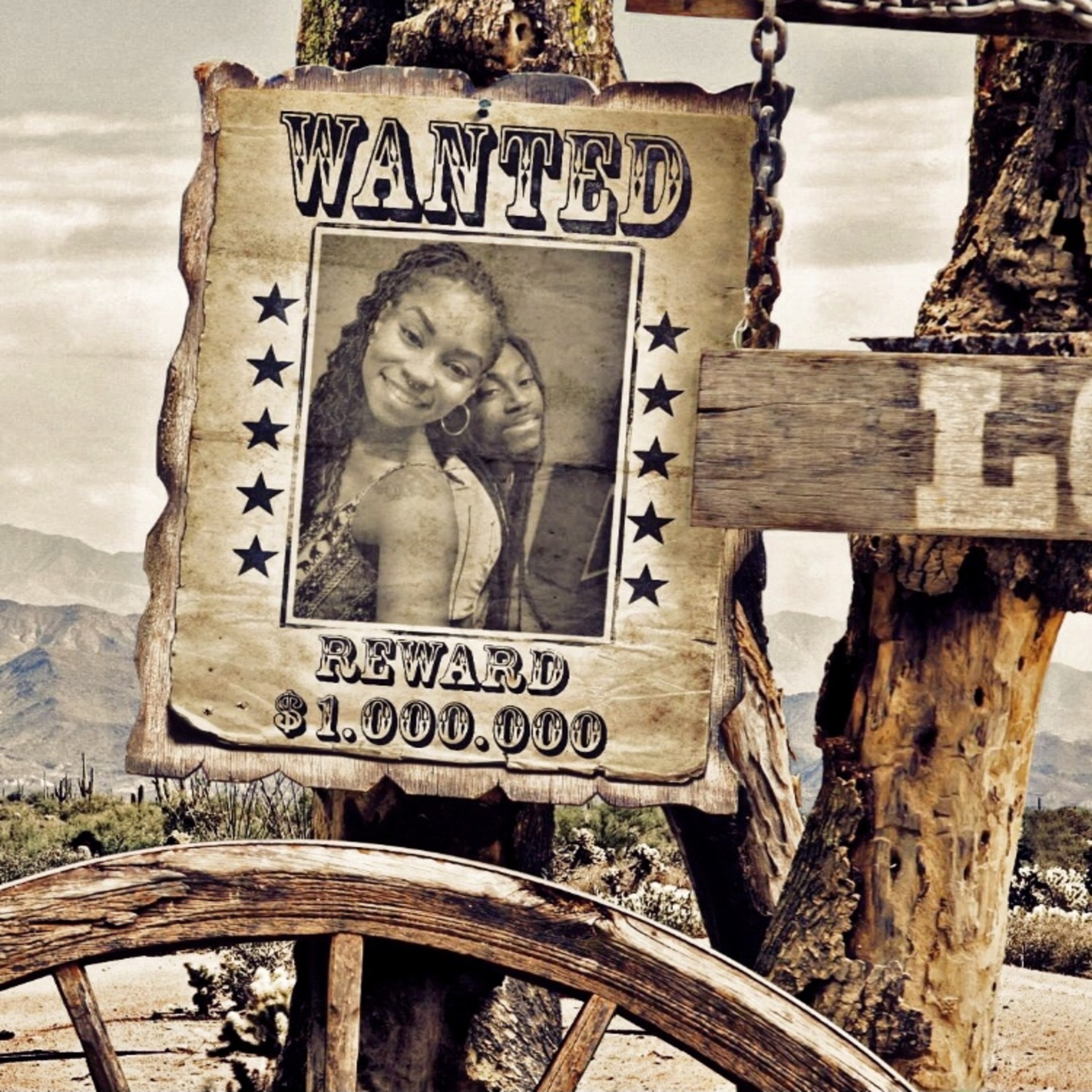 Bonnie & Clyde artwork