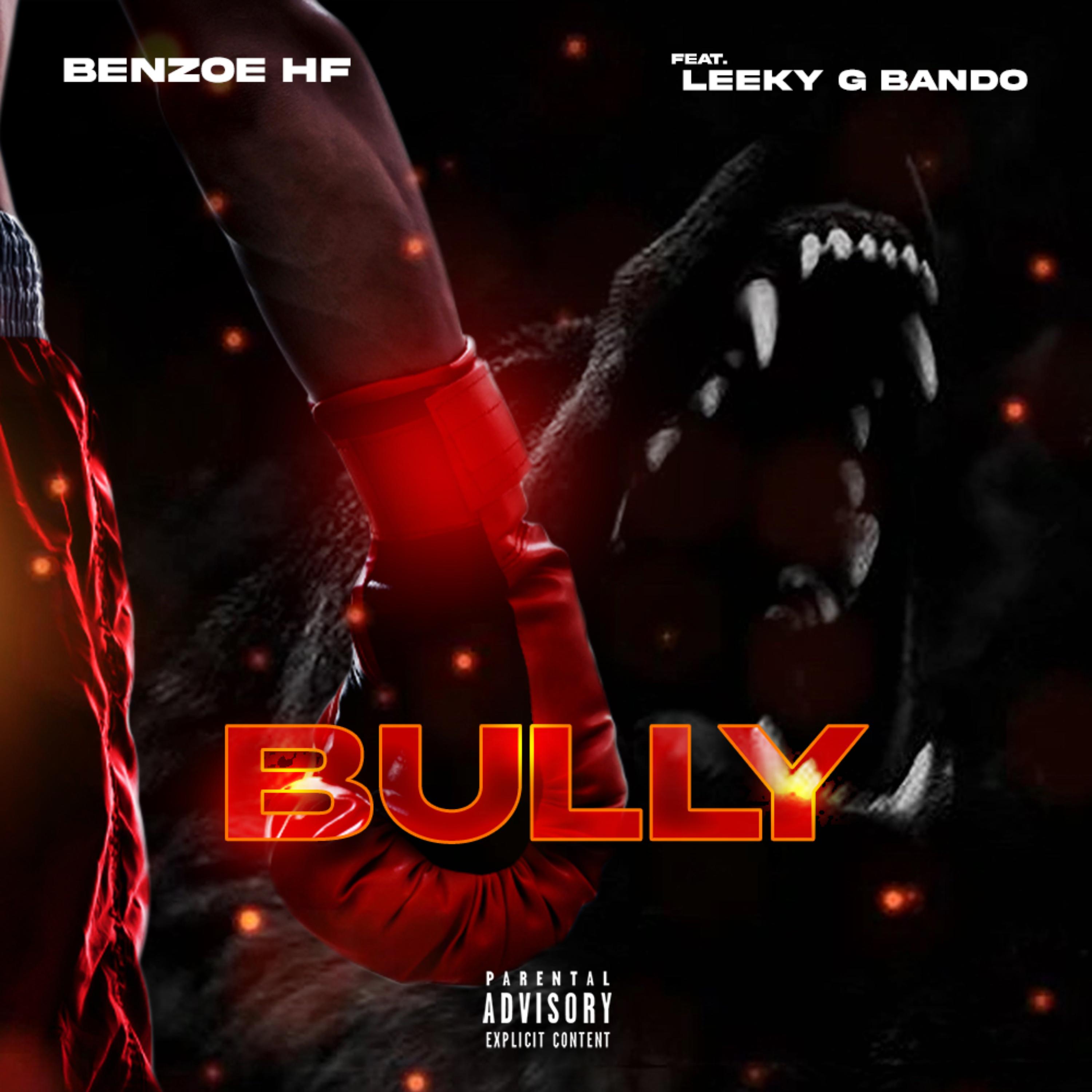 BULLY artwork