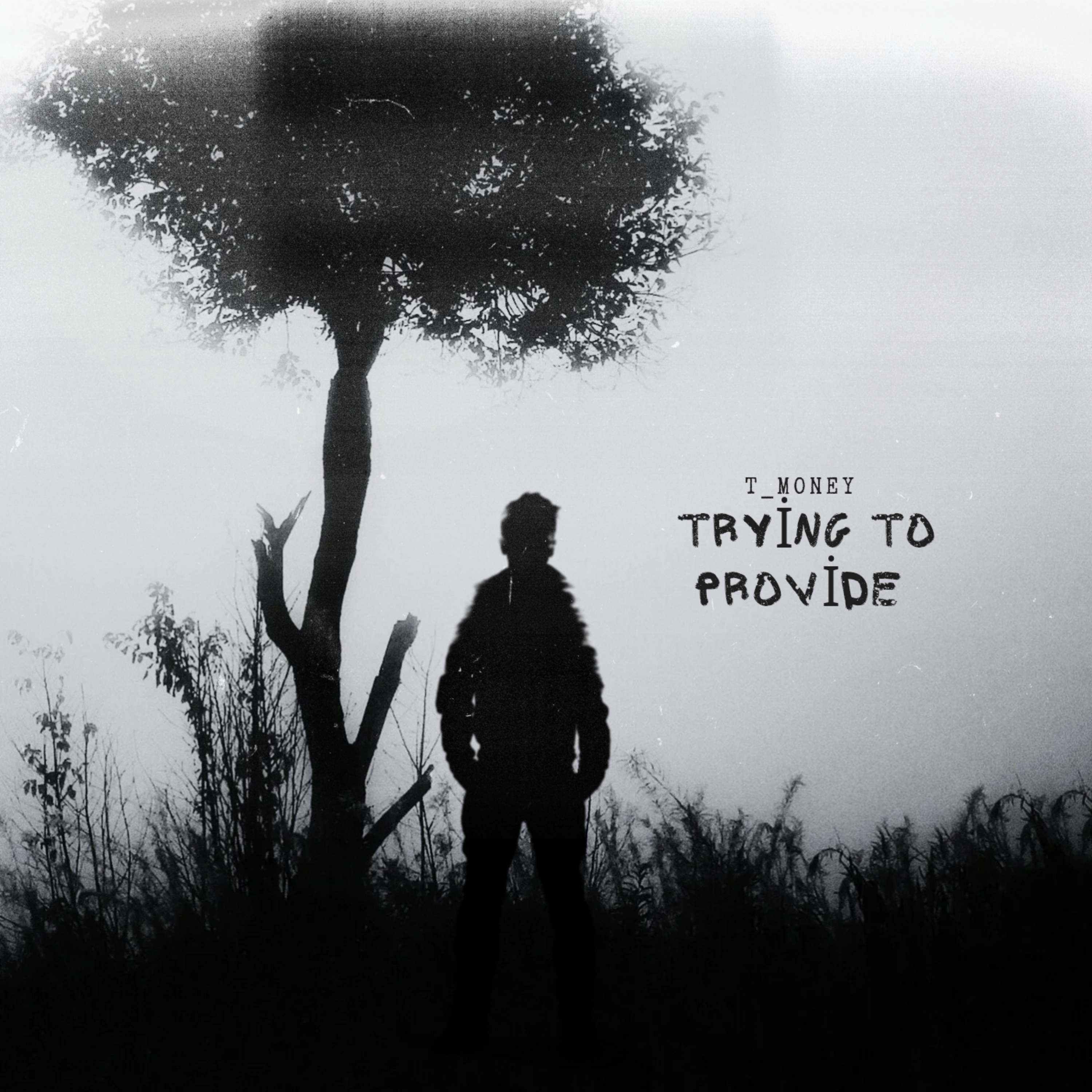 Trying to Provide artwork