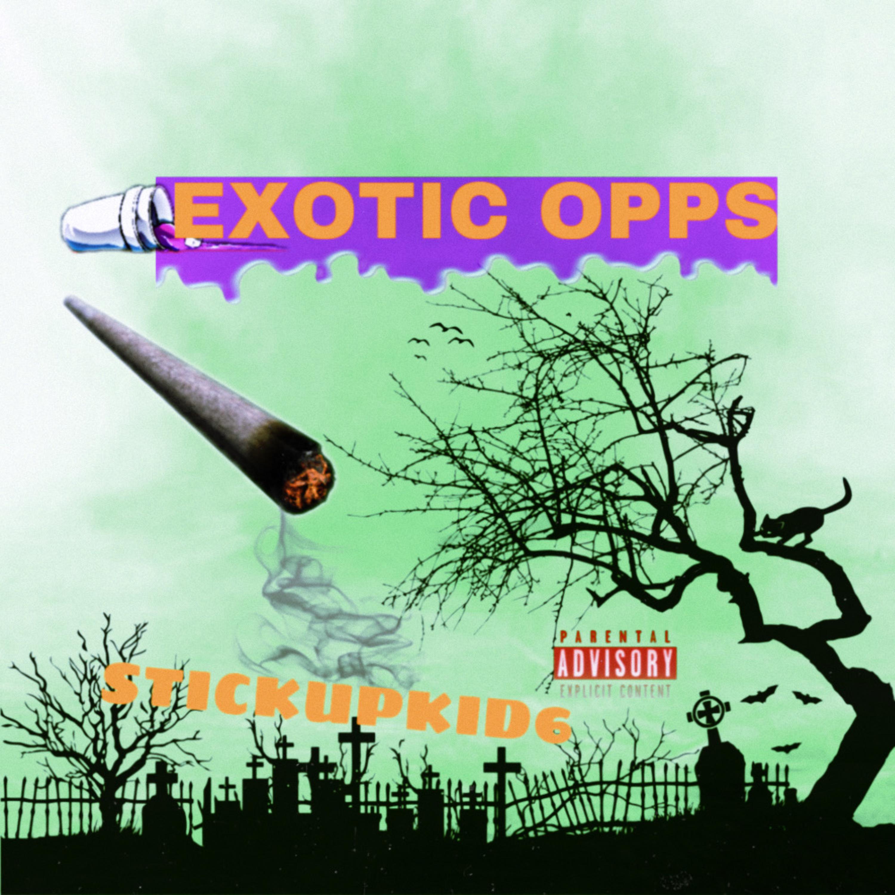 Exotic Opps artwork