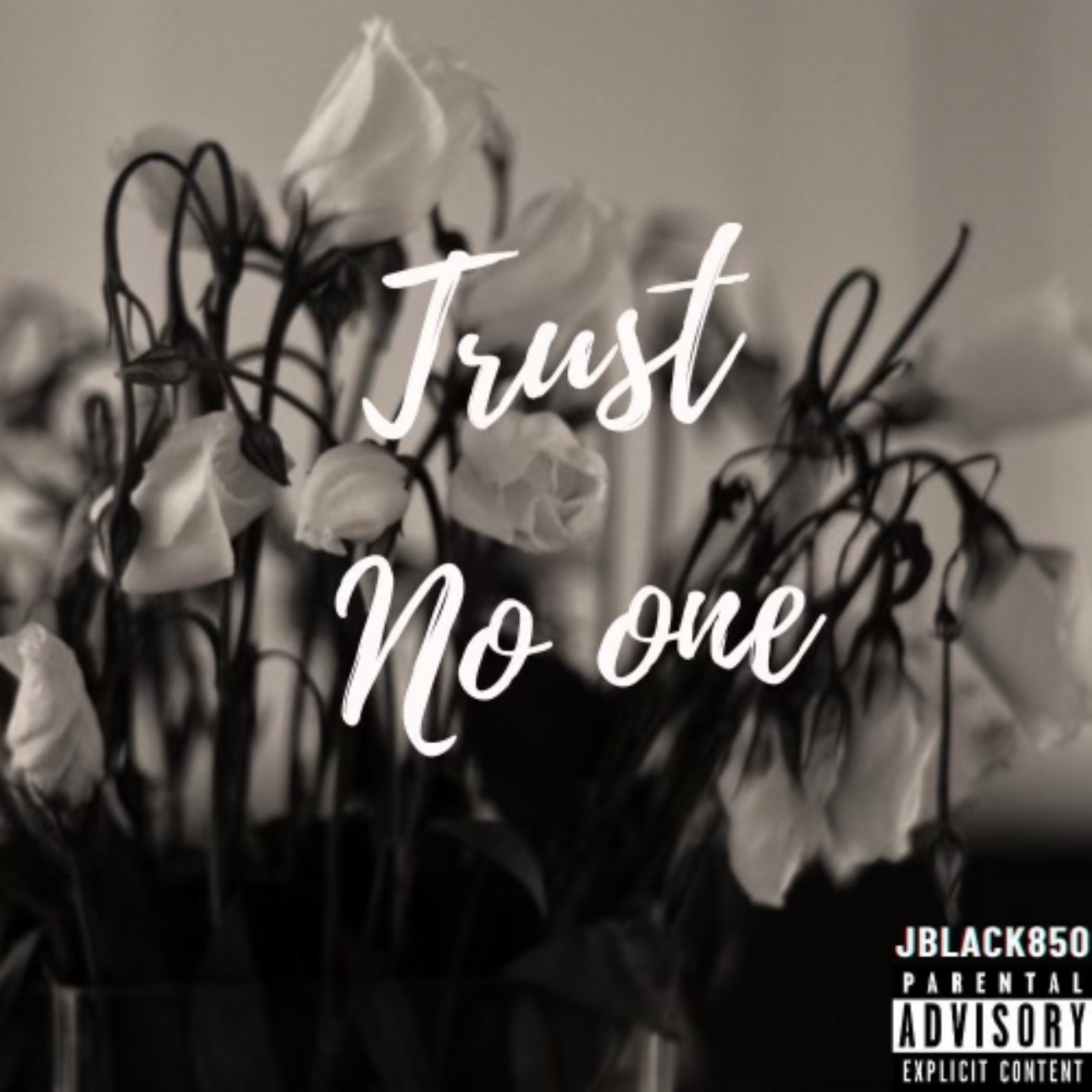 Trust No One artwork