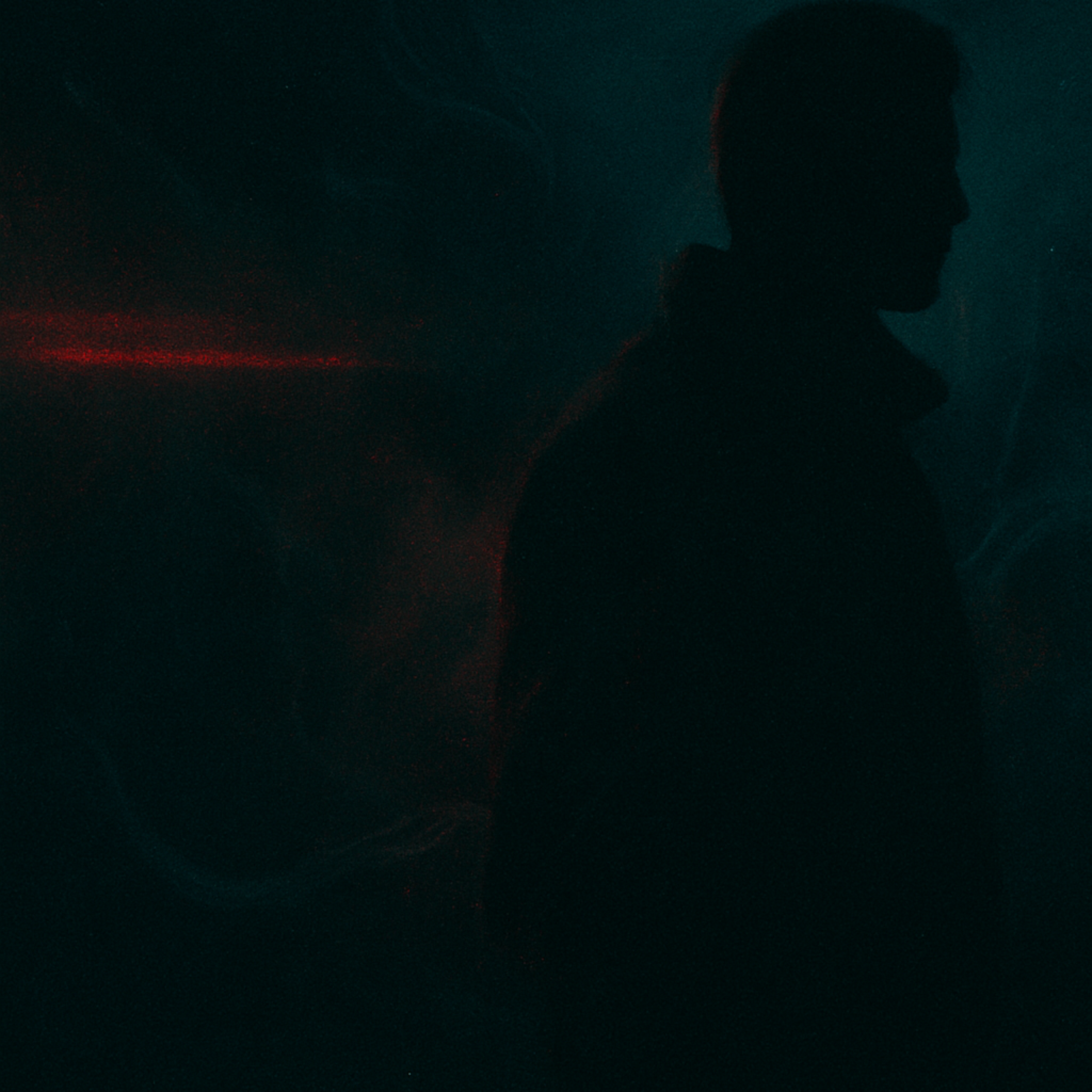 Helal Edilmez artwork