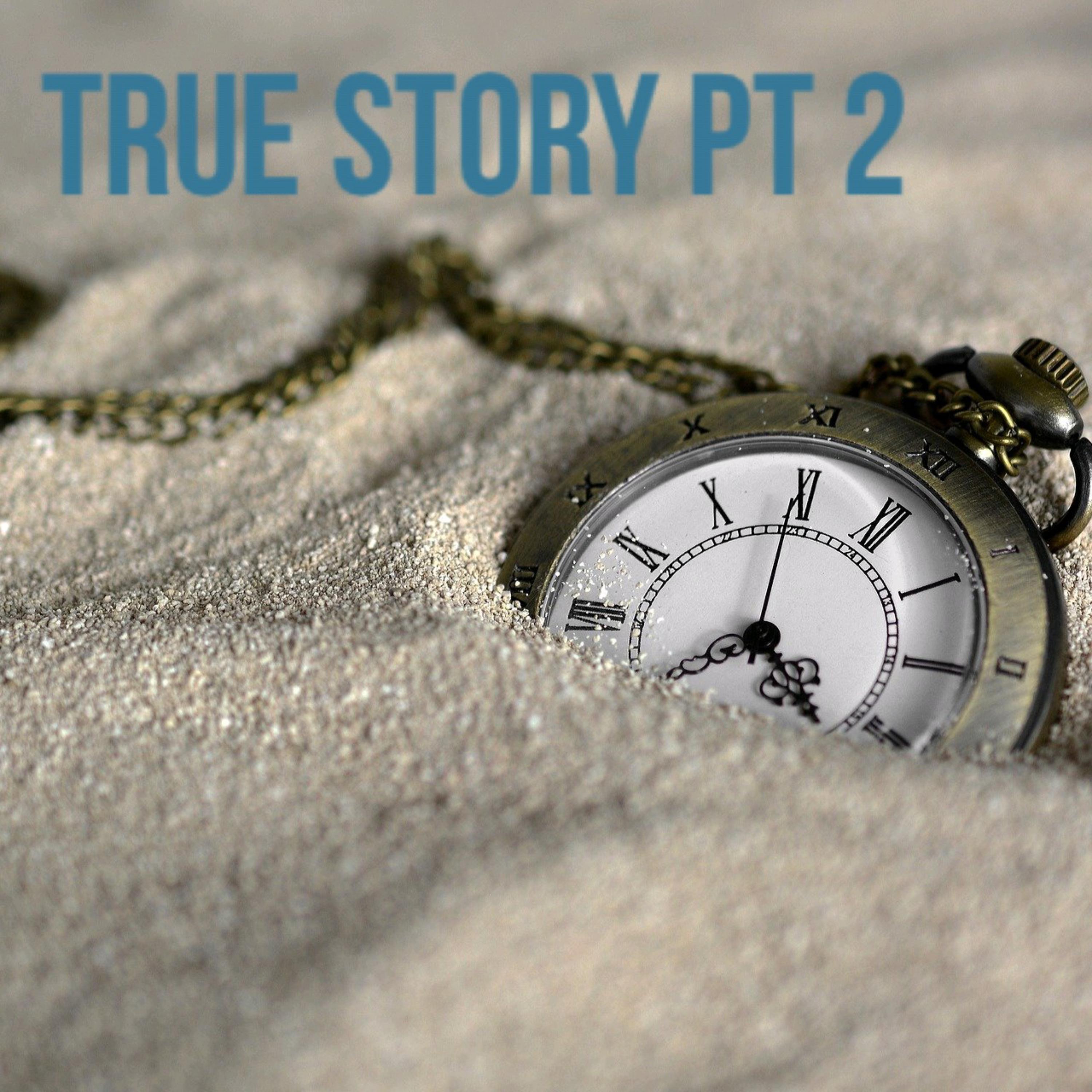 True Story, Pt 2 artwork