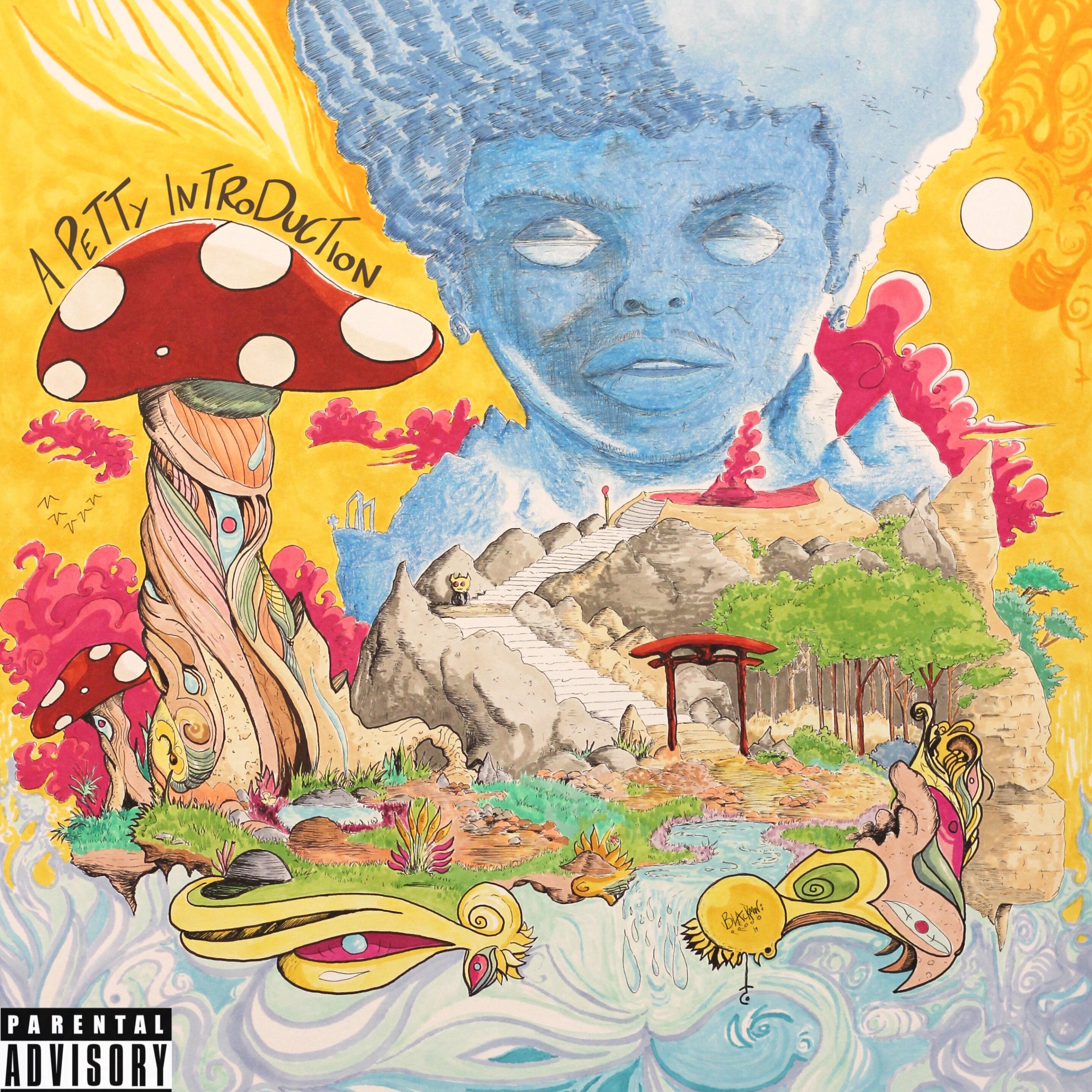 A Petty Introduction artwork