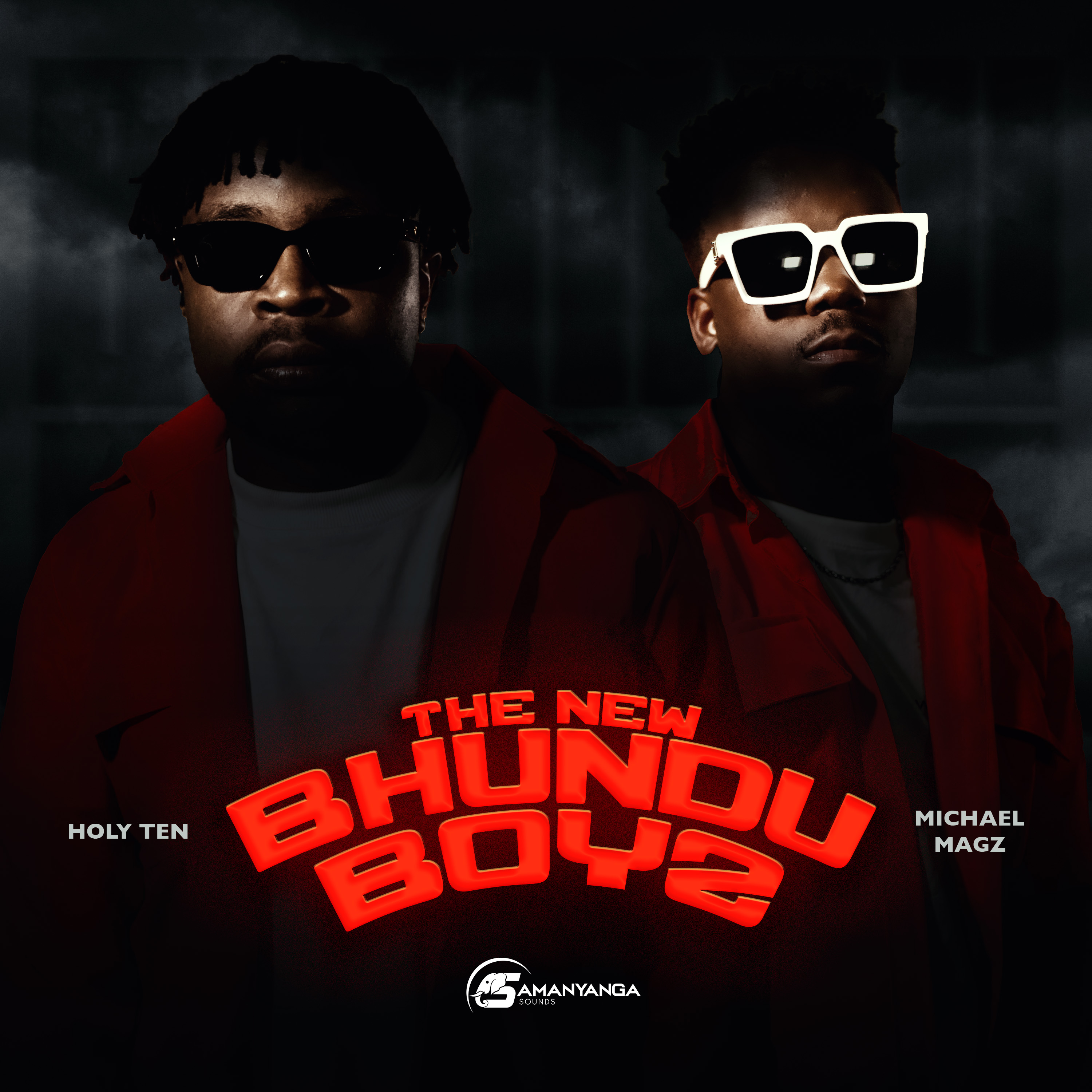 The New Bhundu Boyz artwork