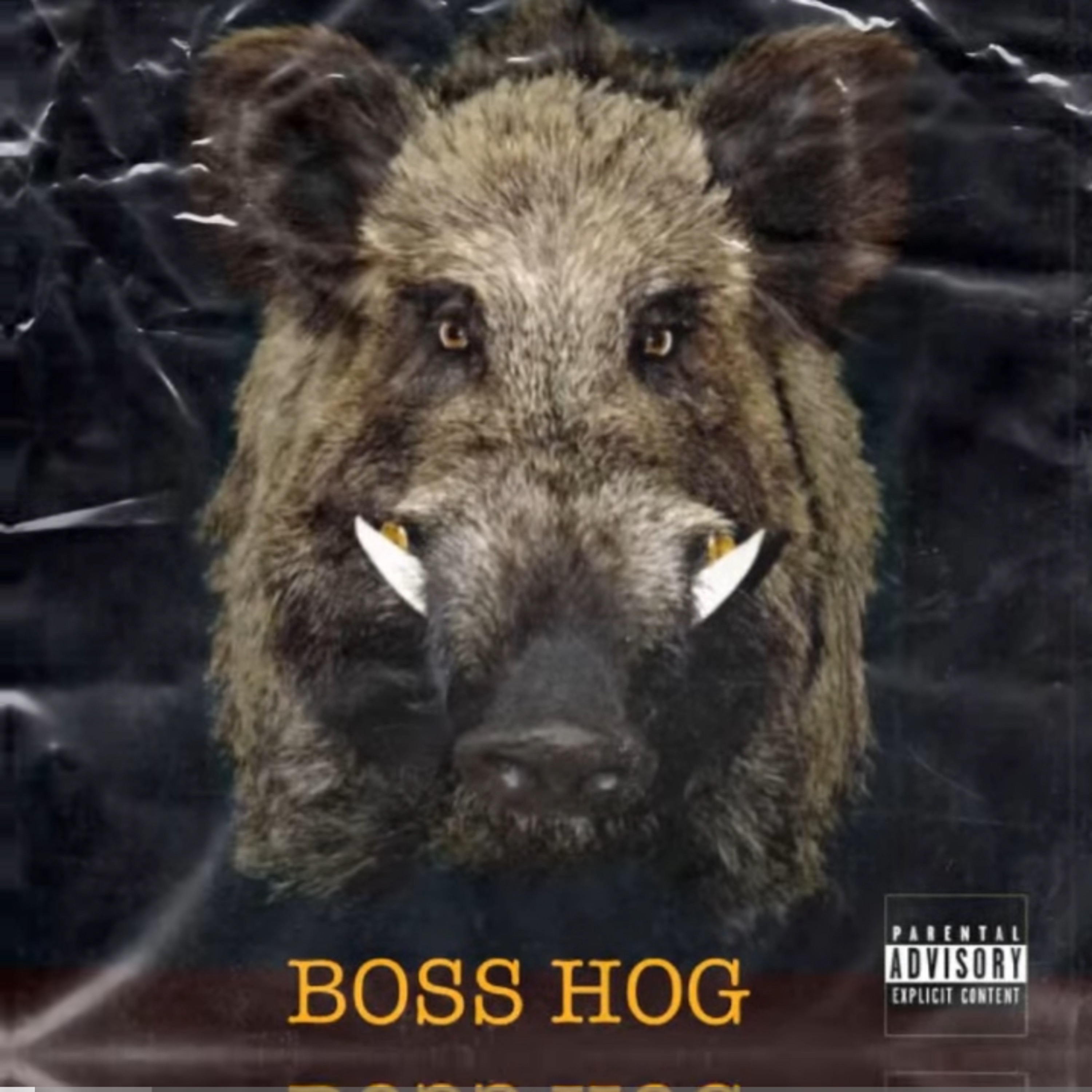 Boss Hog artwork