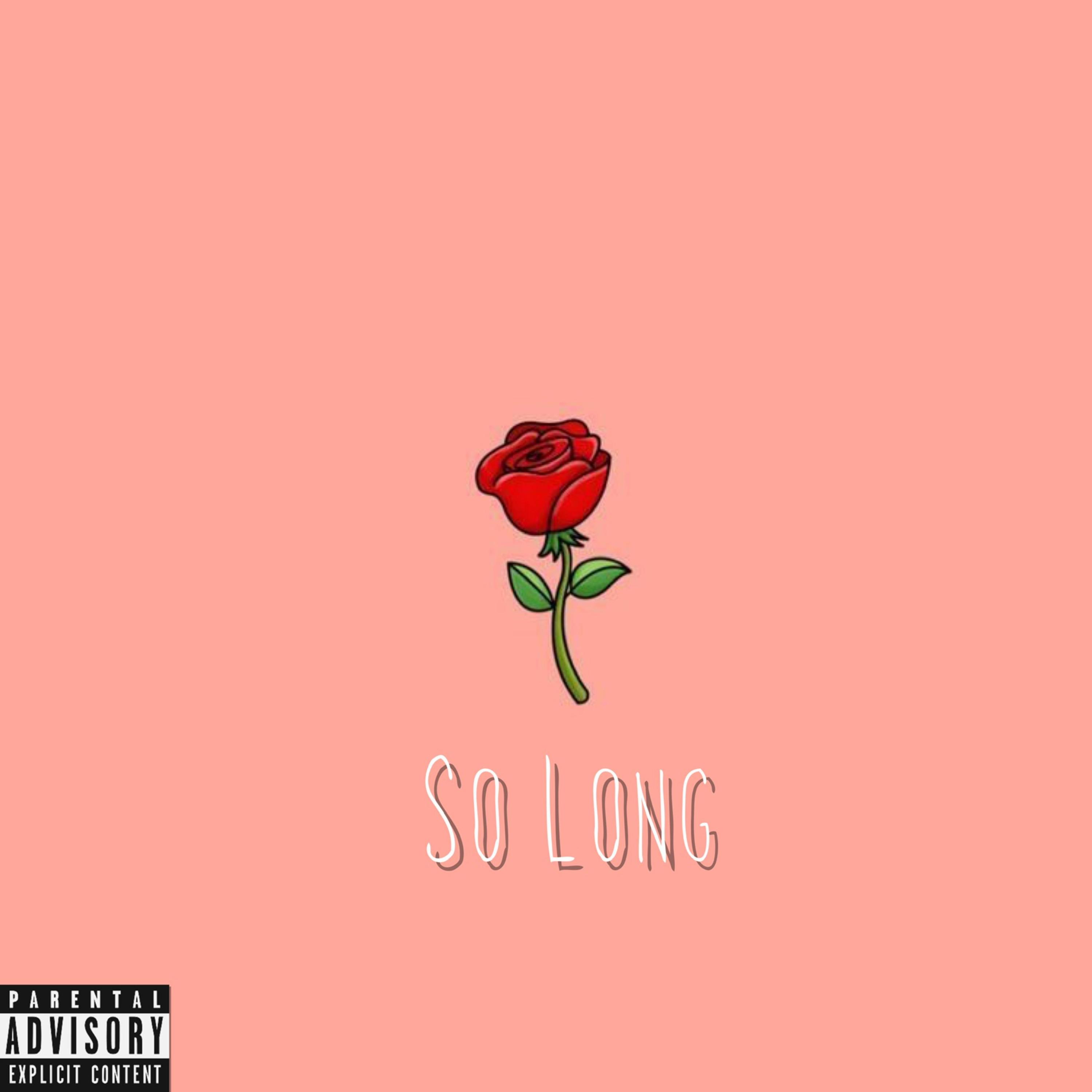 So Long artwork