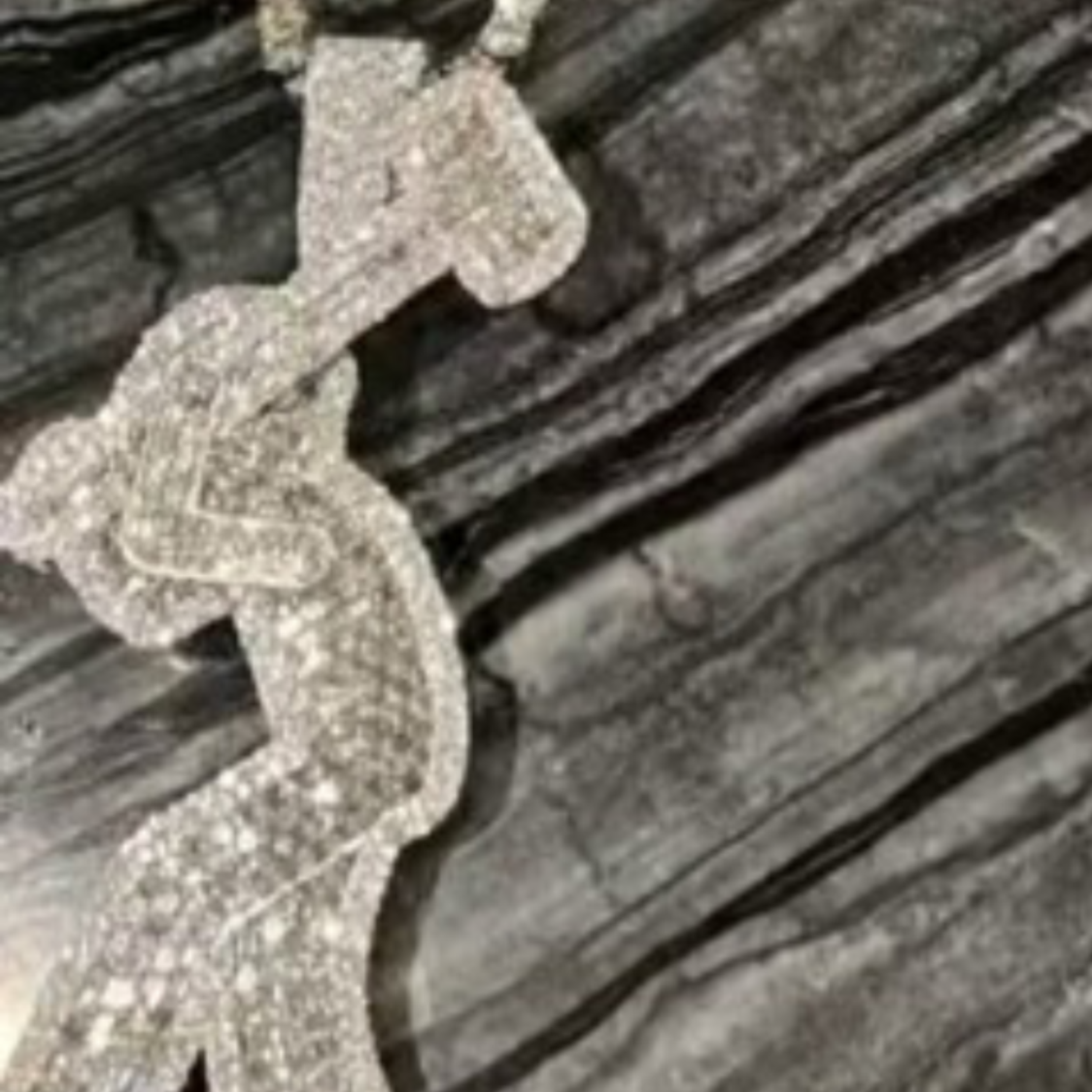 Honorary Remember artwork