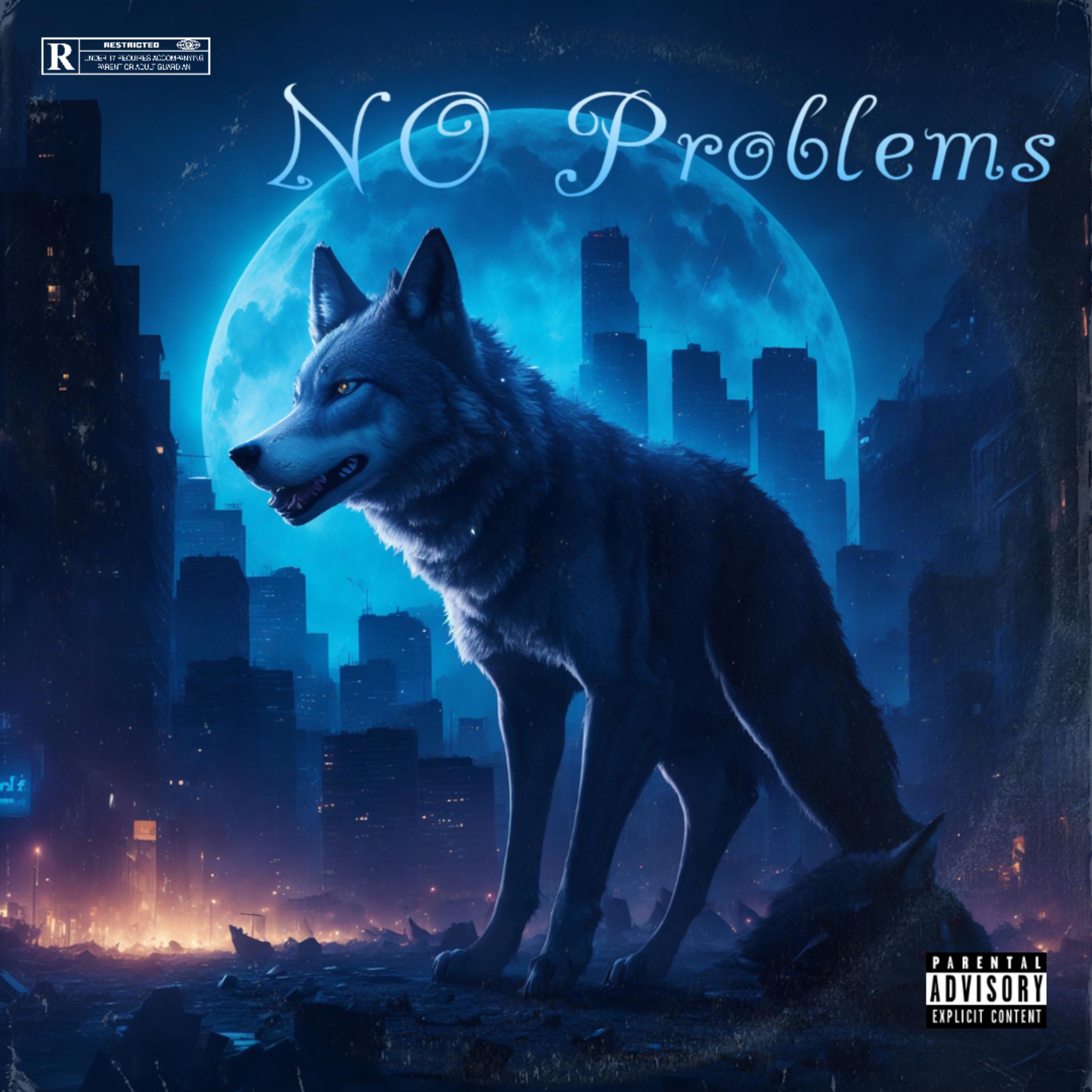 No Problems artwork