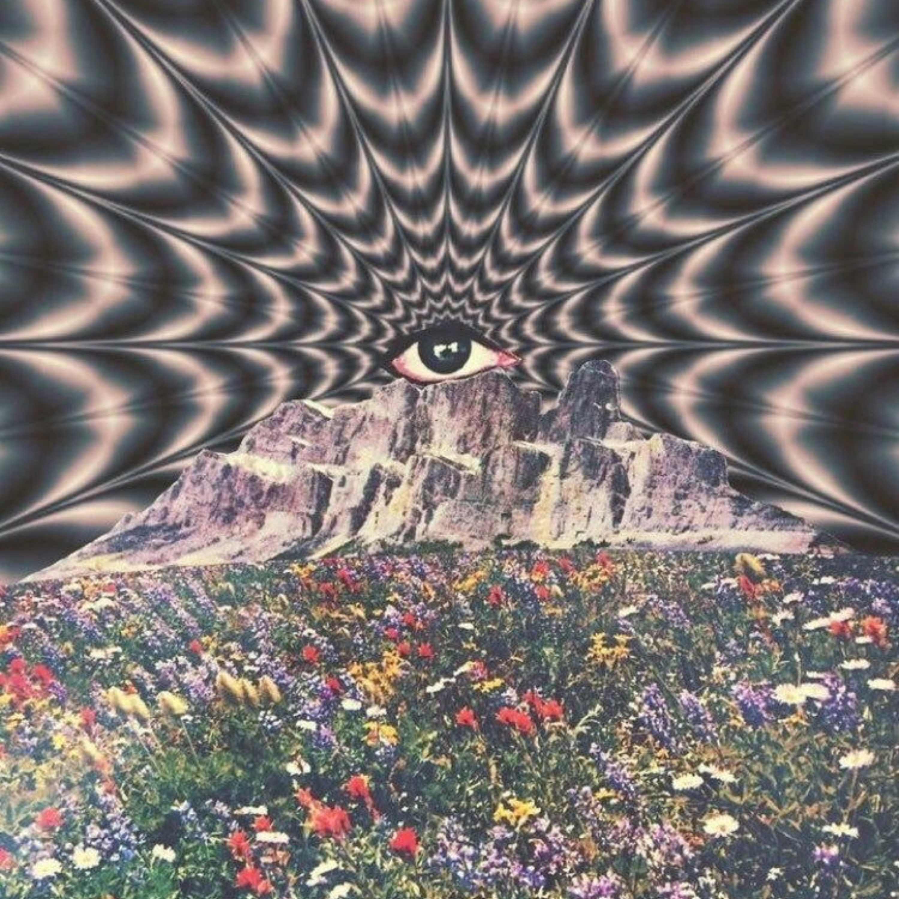 Welcome to LA artwork