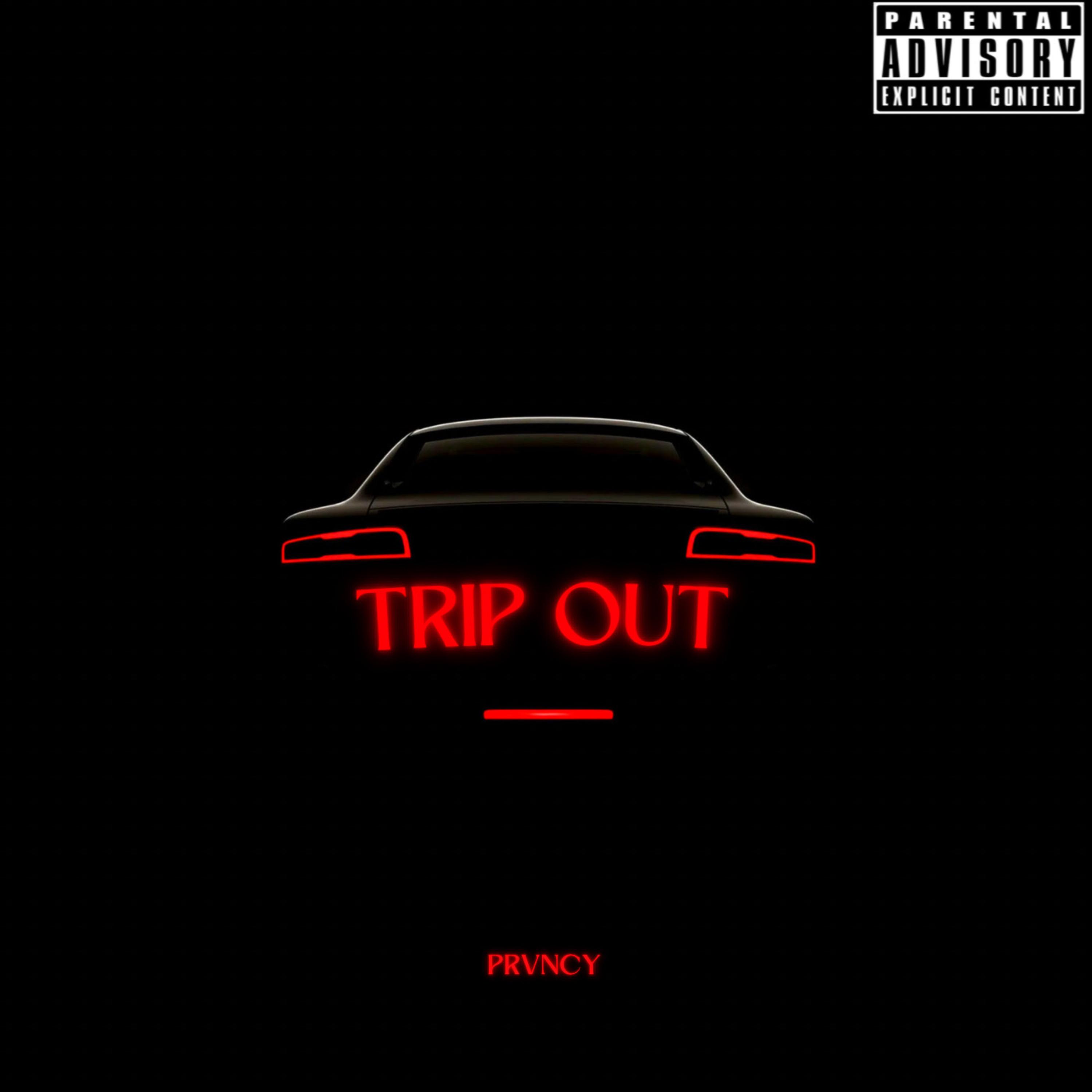 TRIP OUT artwork