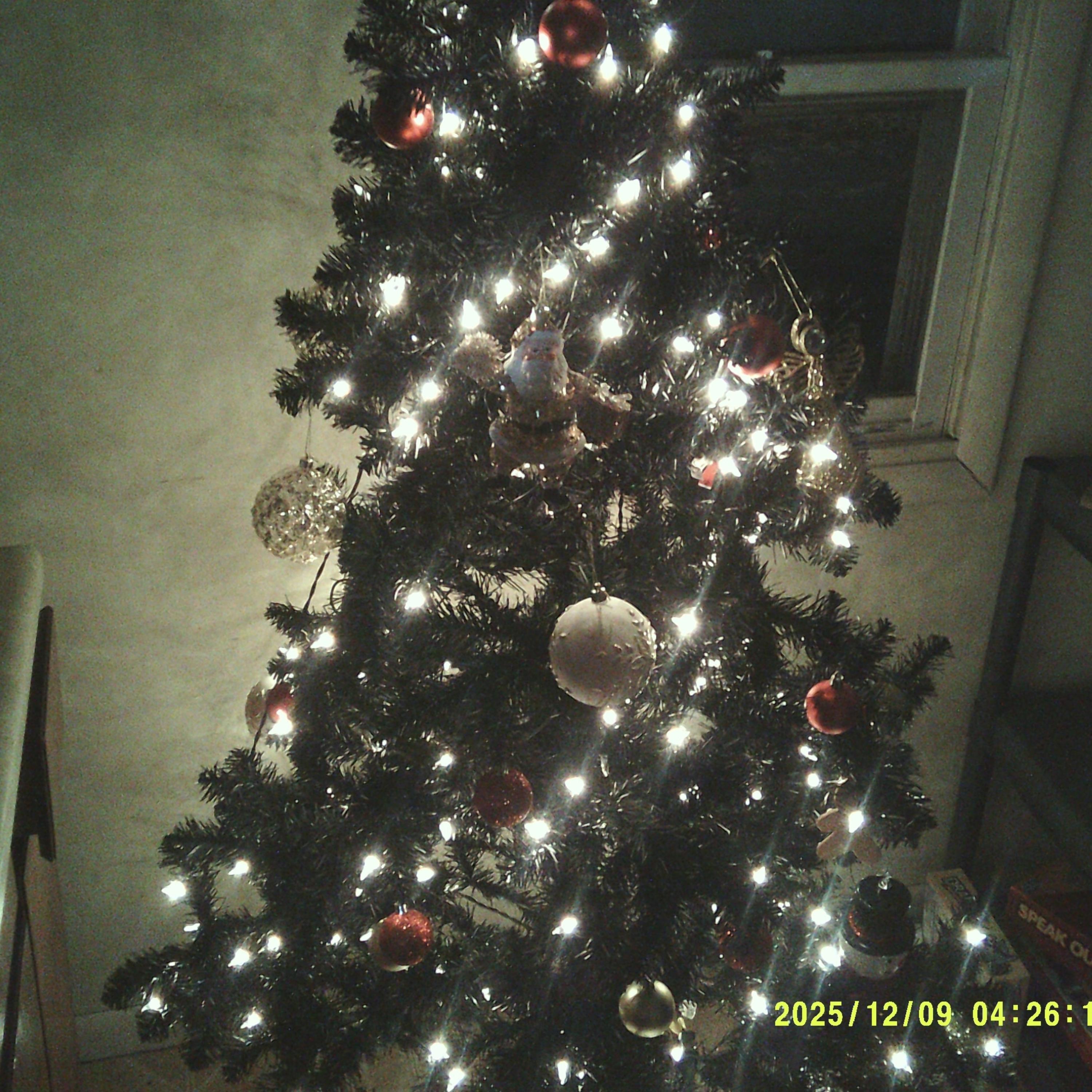 timeless. (christmas deluxe edition) artwork