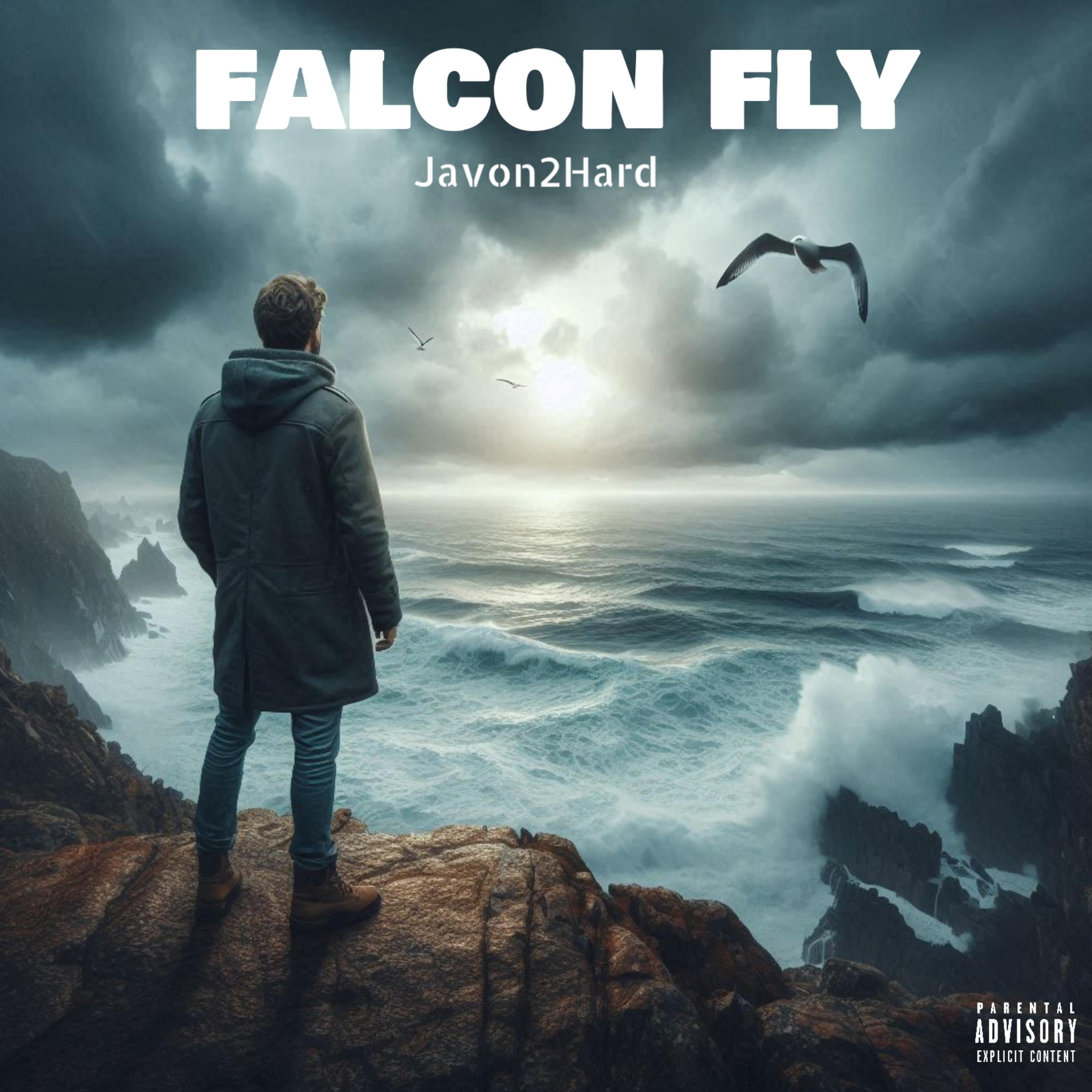Falcon Fly artwork