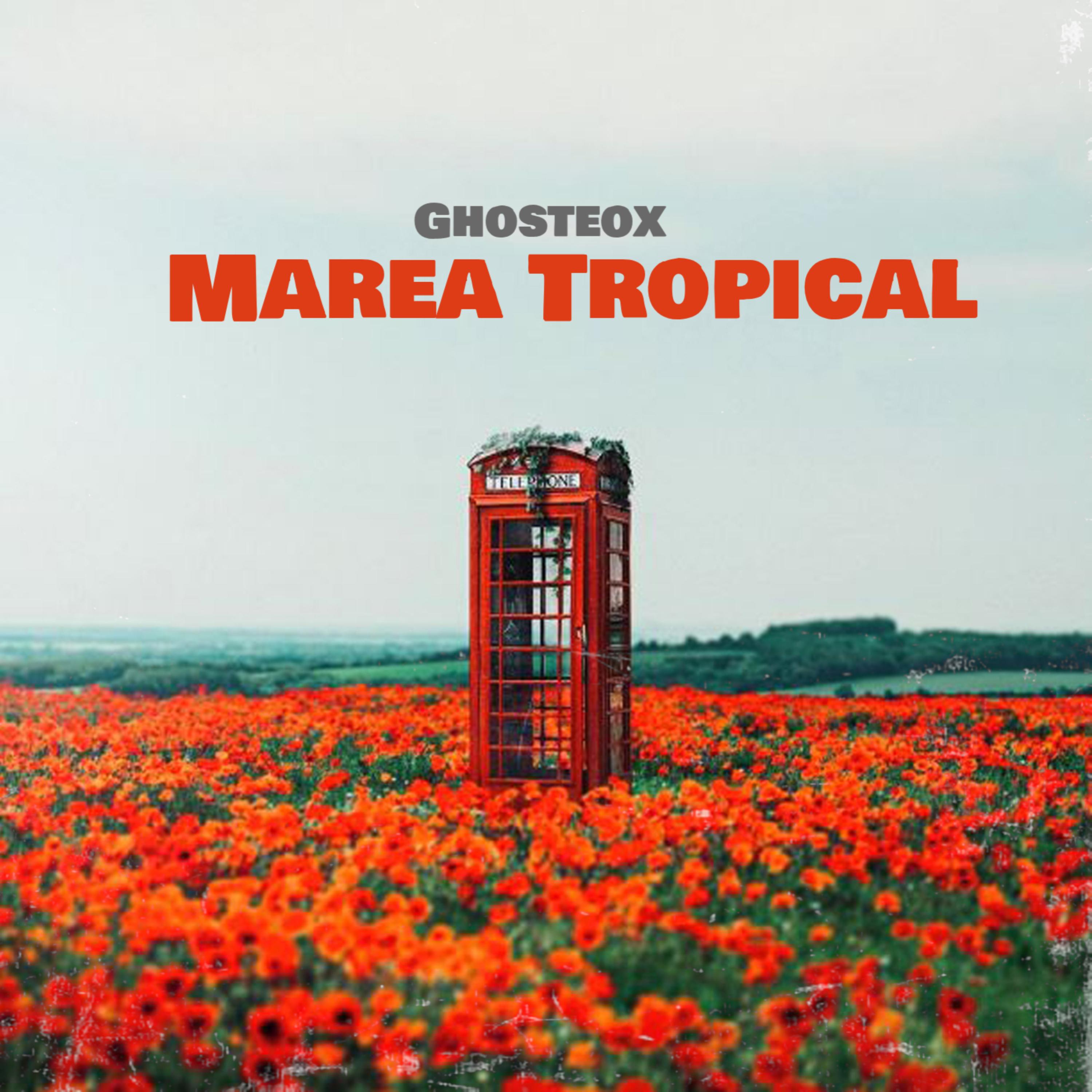 Marea Tropical artwork