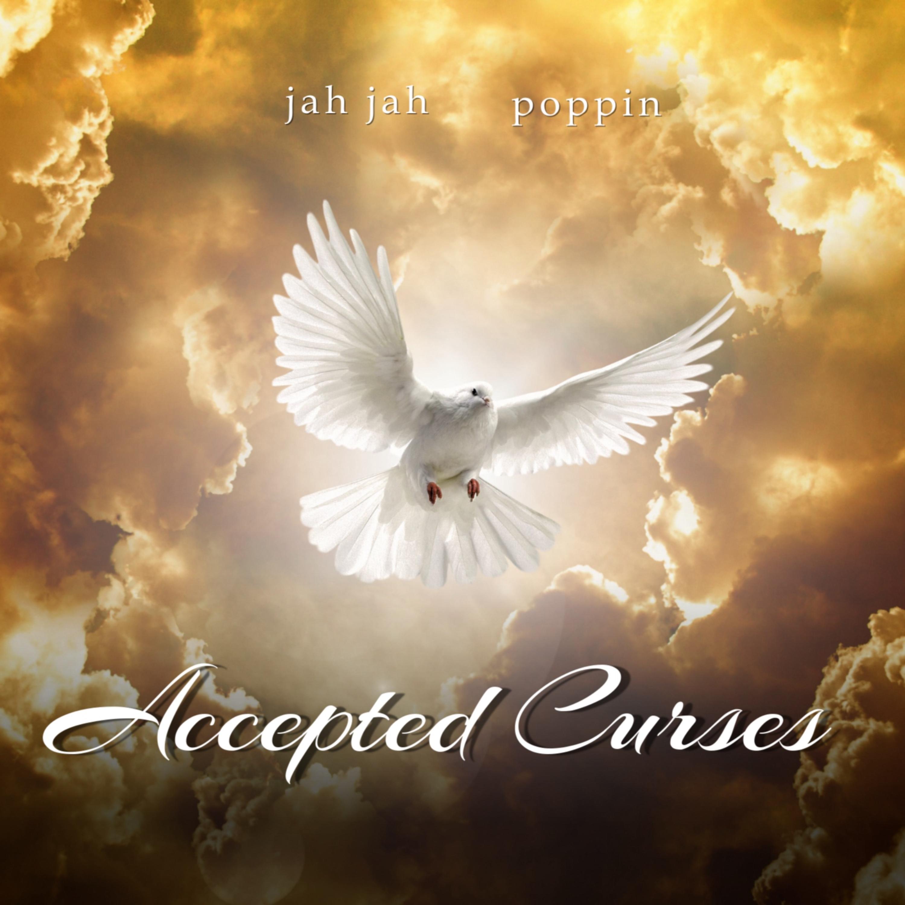 Accepted Curses artwork