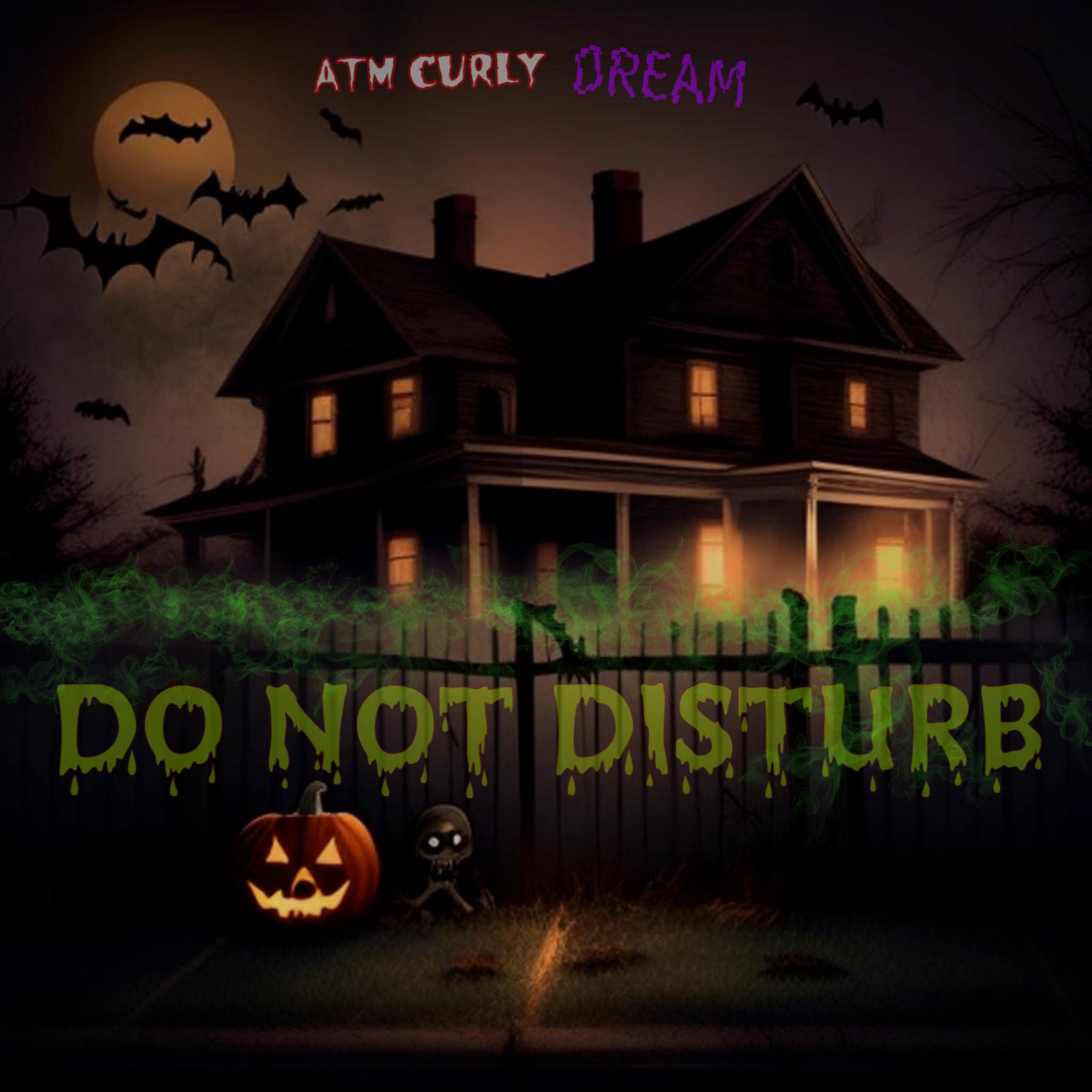DO NOT DISTURB artwork