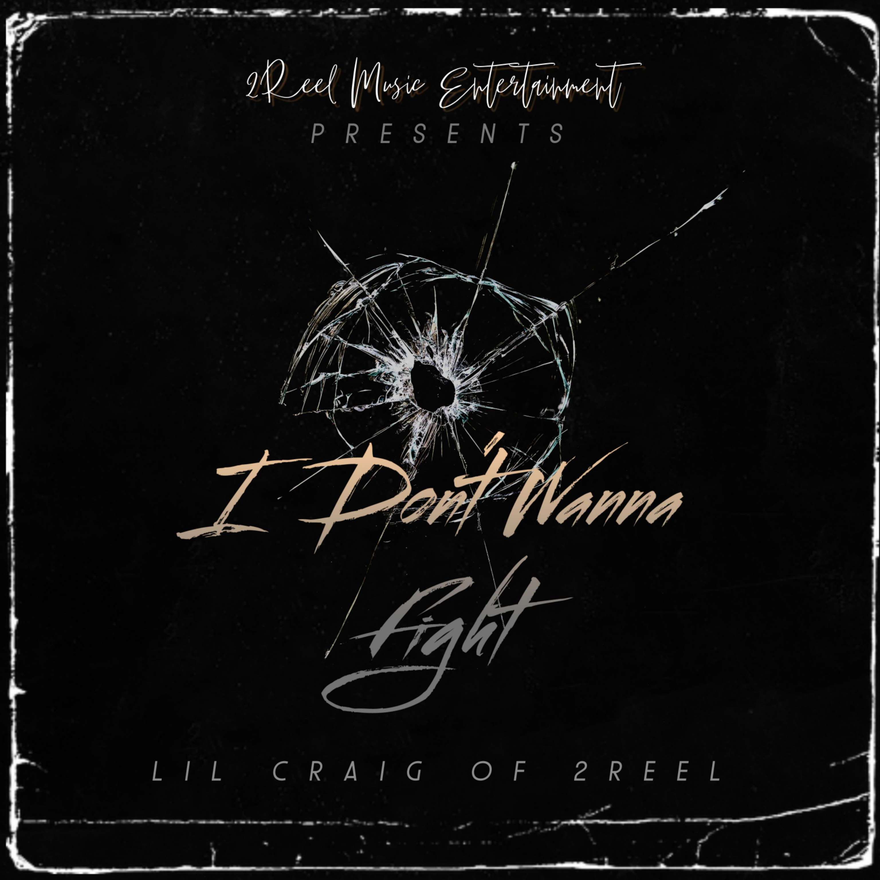 I Don't Wanna Fight by Lil Craig Of 2Reel  cover art