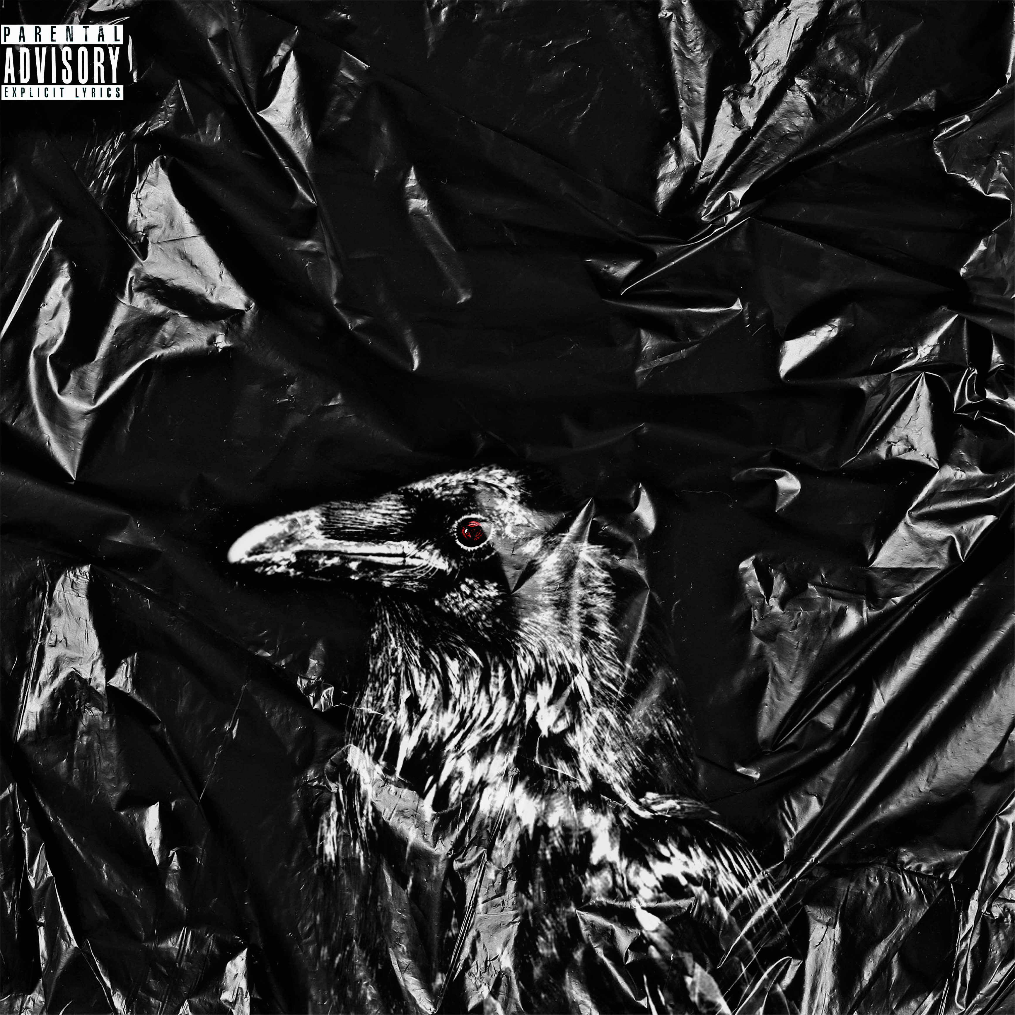 CROW artwork